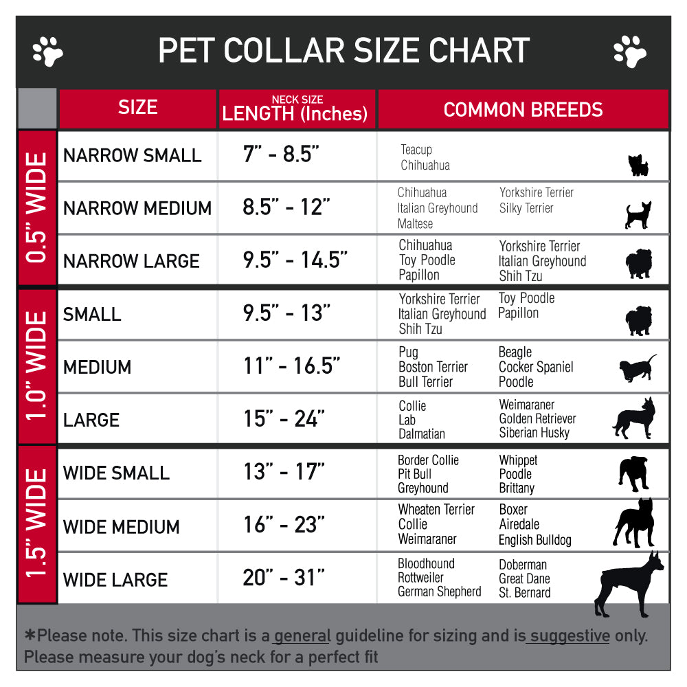 Plastic Clip Collar – Buckle-Down Shapes Hot Pink and White