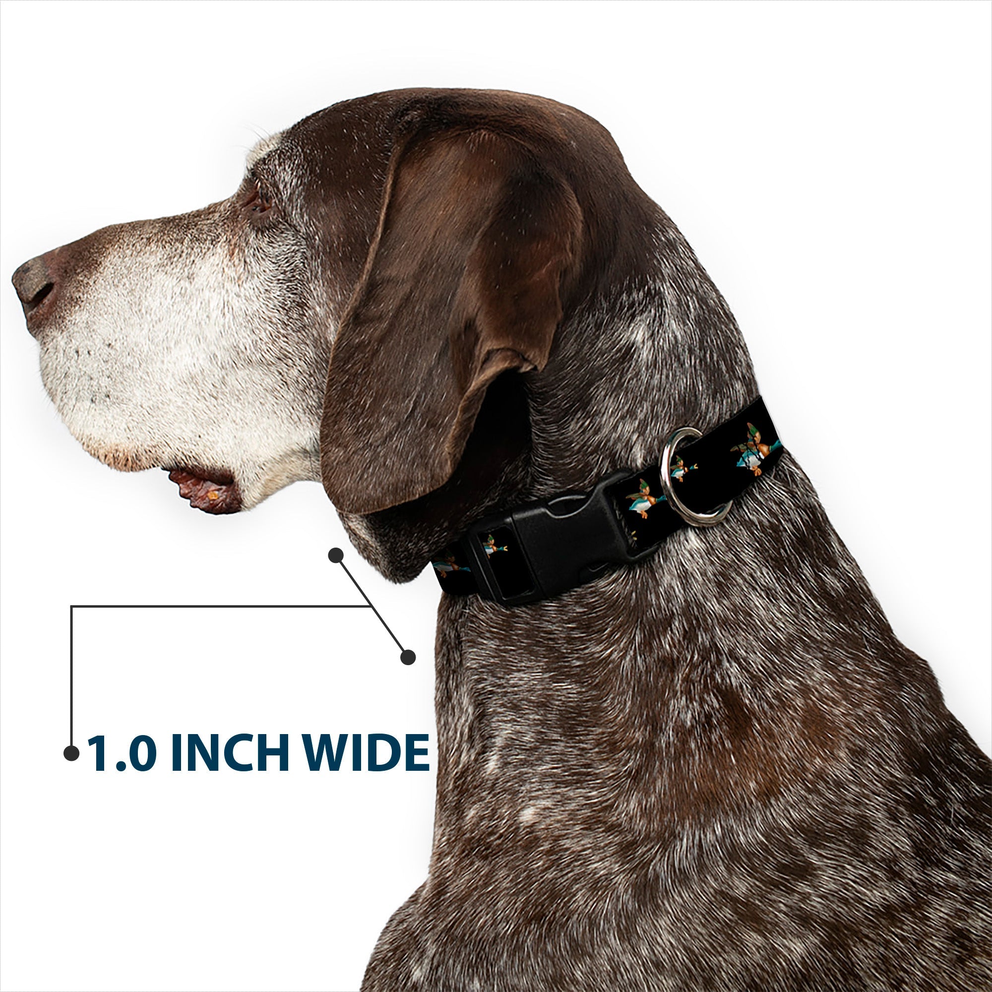 Plastic Clip Collar – Flying Mallards Black
