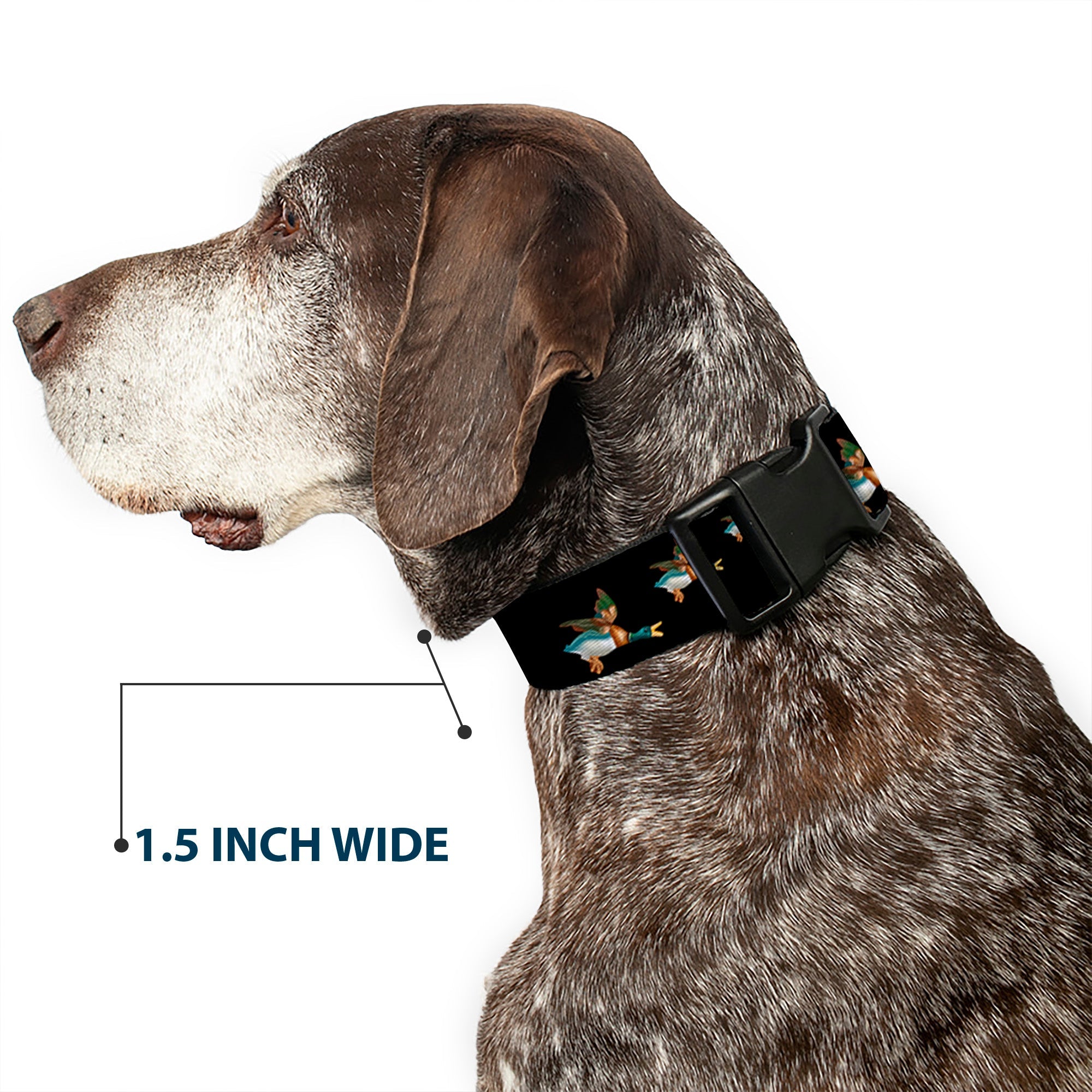 Plastic Clip Collar – Flying Mallards Black