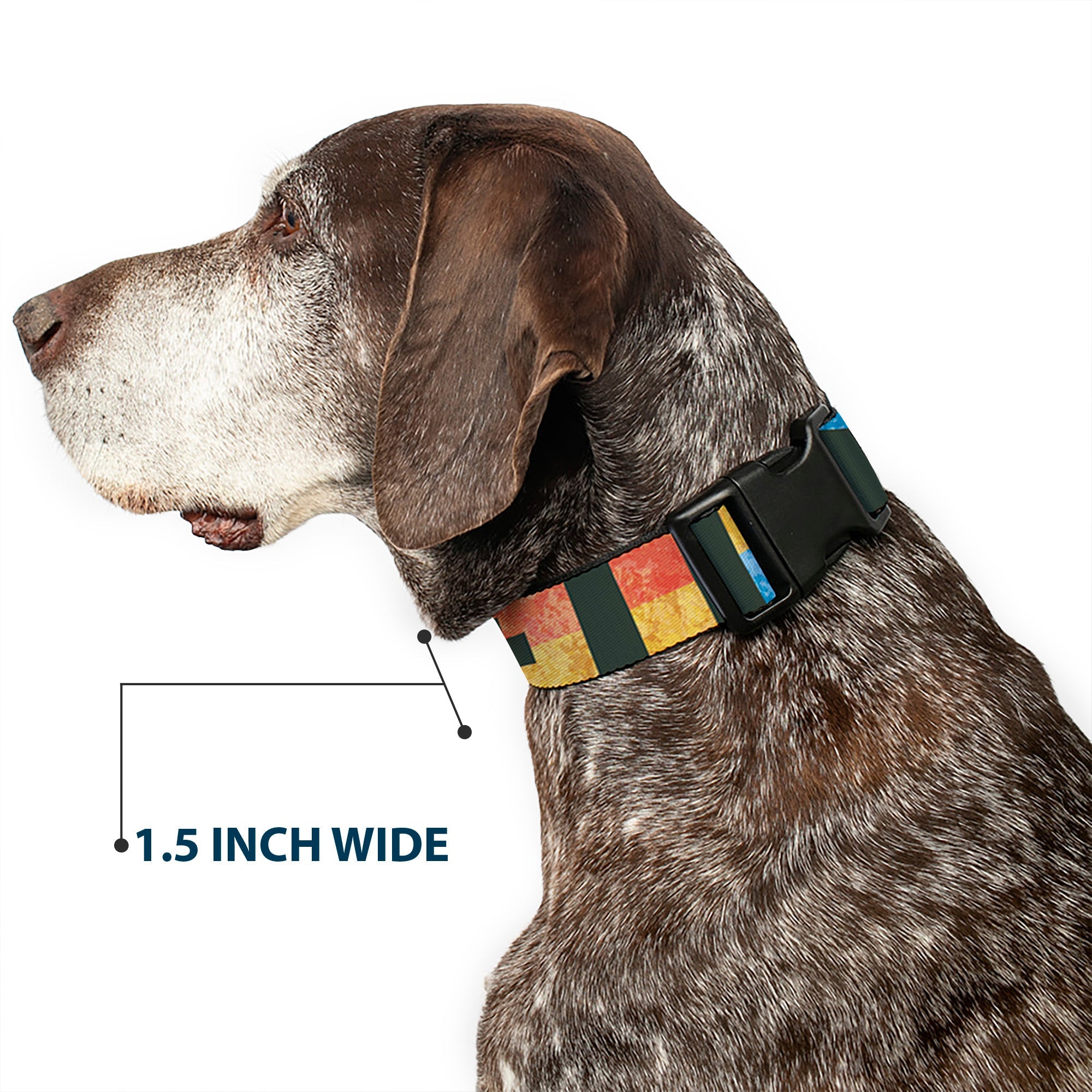 Plastic Clip Collar – Geometric Charcoal Orange Gold and Blue