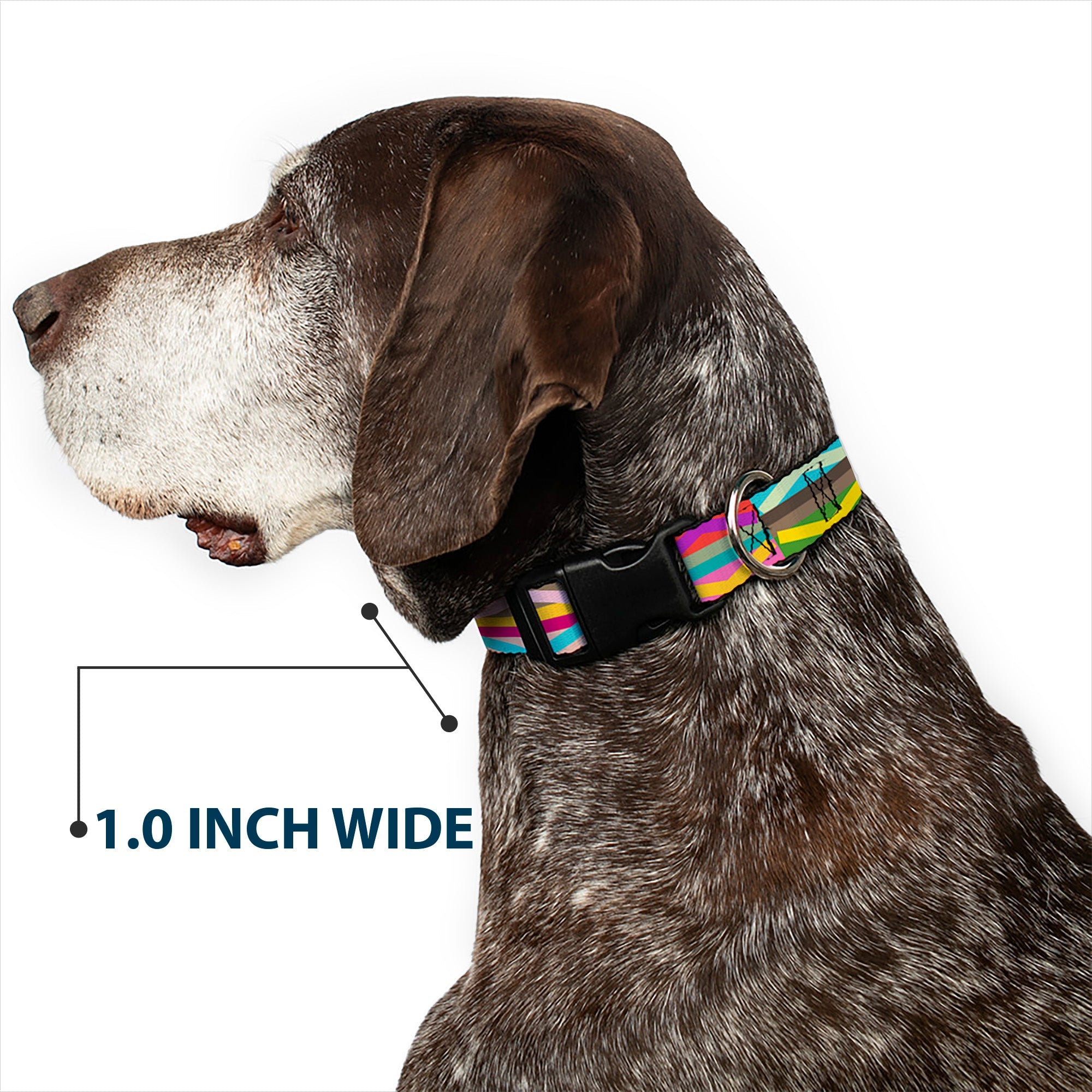 Plastic Clip Collar – Geometric Multi Color