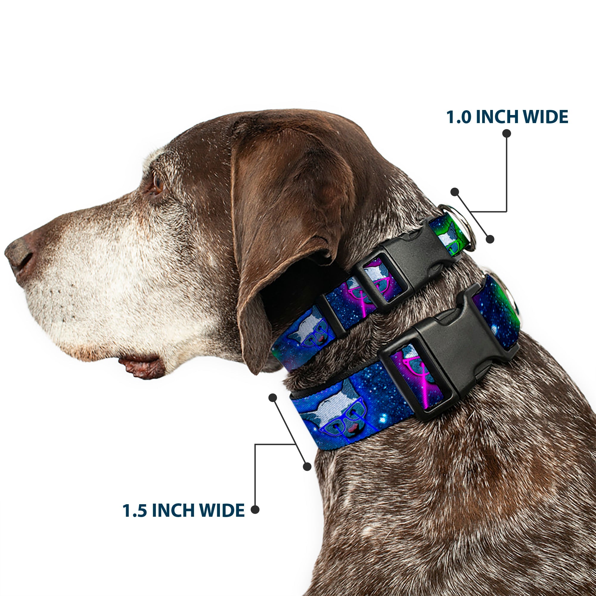 Plastic Clip Collar – Laser Eye Cats in Space