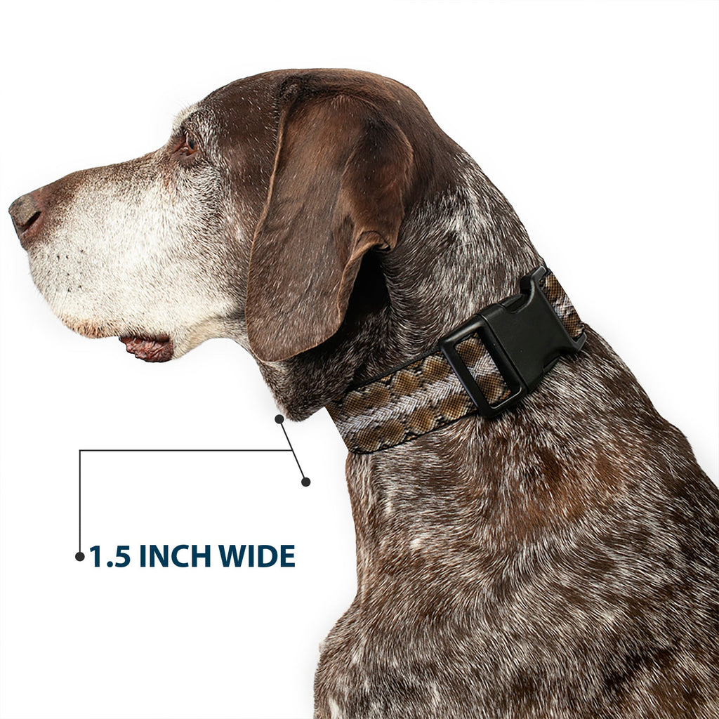 Plastic Clip Collar – Snake Skin