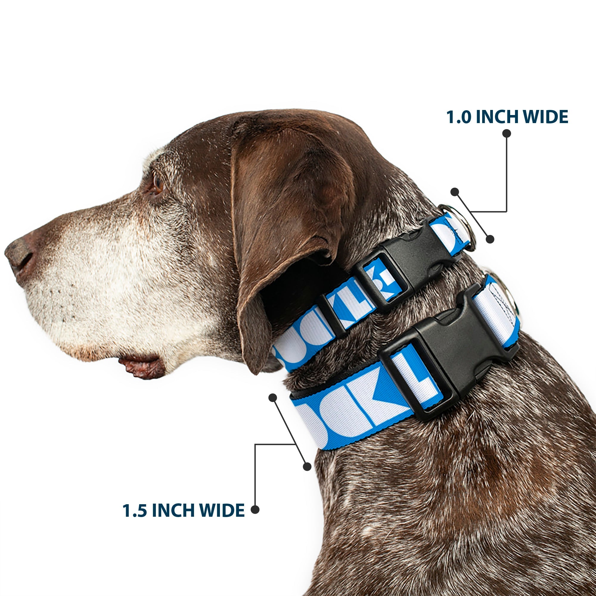 Plastic Clip Collar – Buckle-Down Shapes Turquoise and White