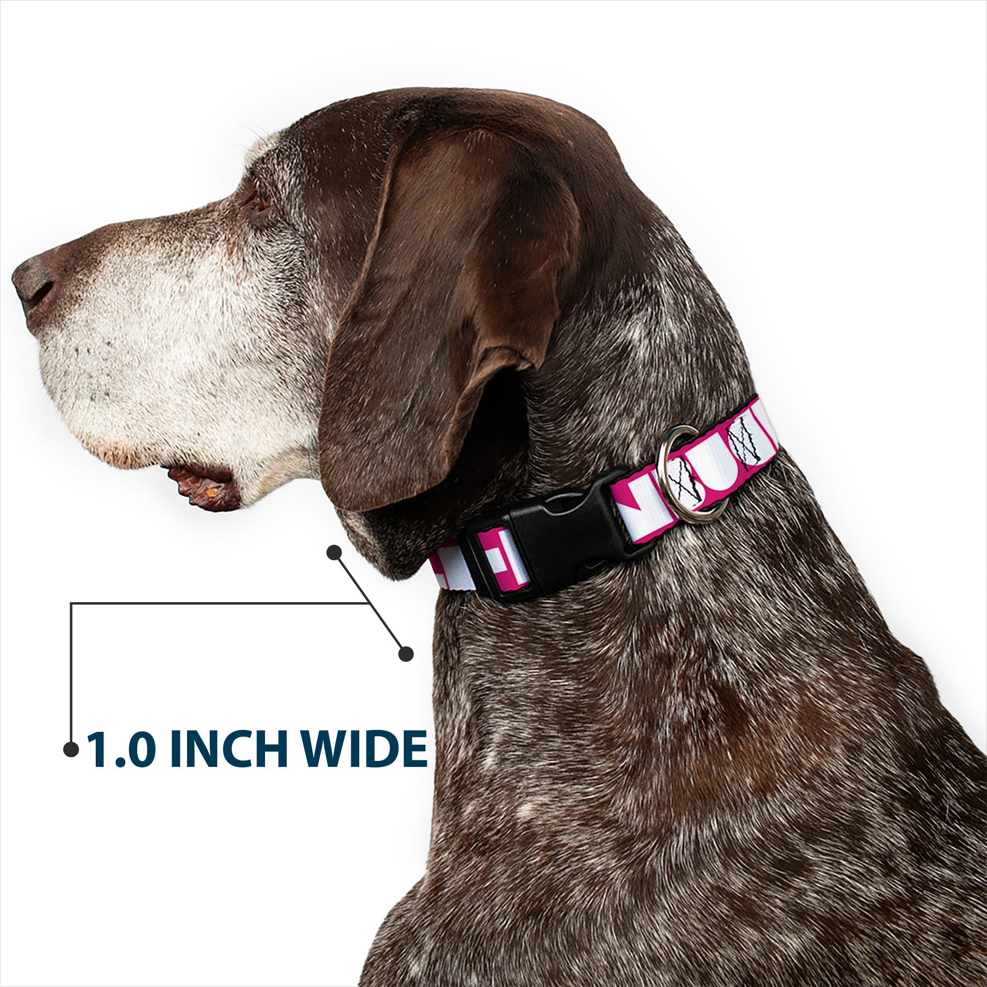 Plastic Clip Collar – Buckle-Down Shapes Hot Pink and White