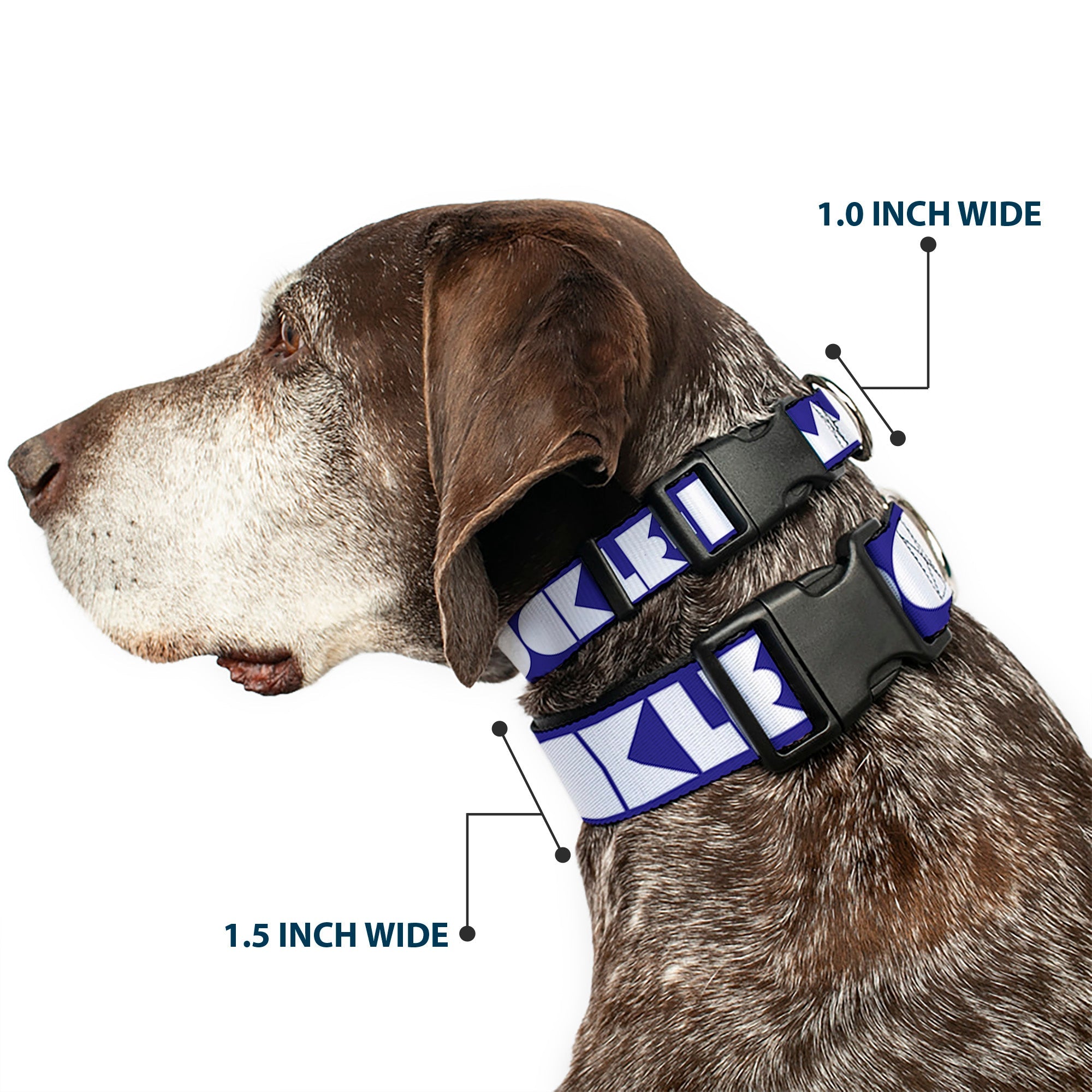 Plastic Clip Collar – Buckle-Down Shapes Blue and White