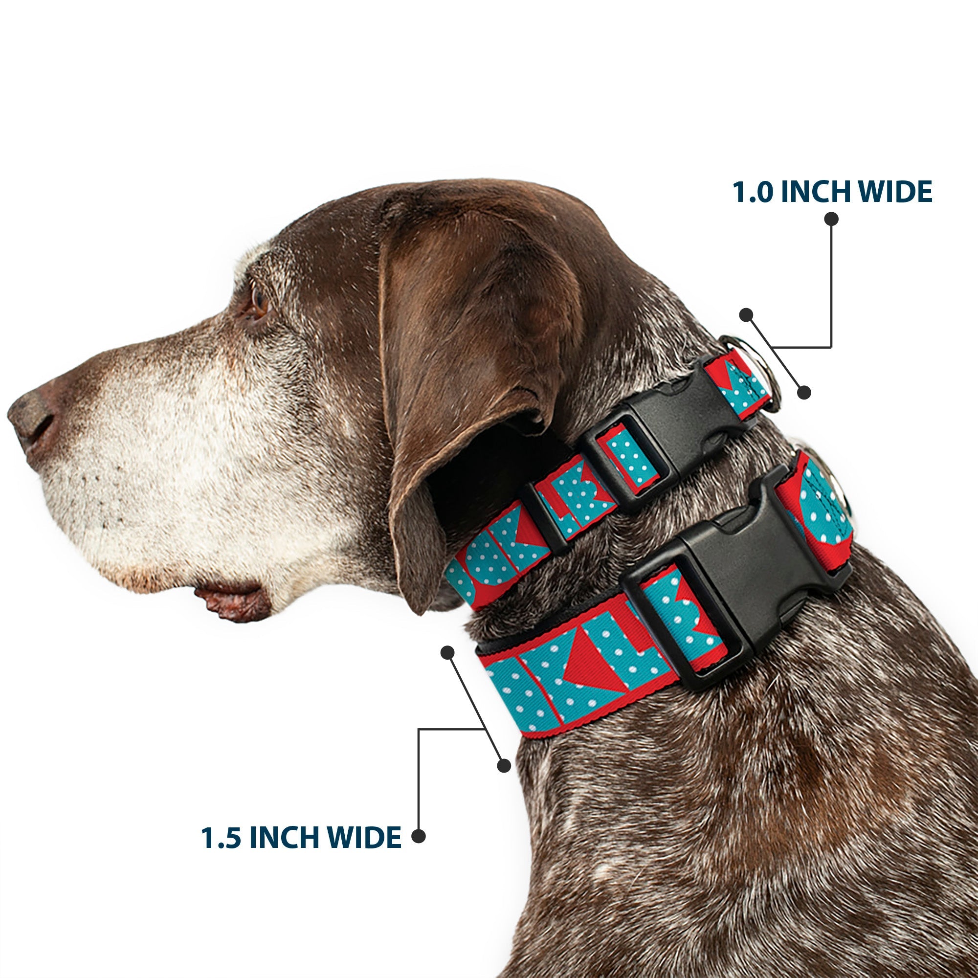 Plastic Clip Collar – Buckle-Down Shapes Red Dot Turquoise and White