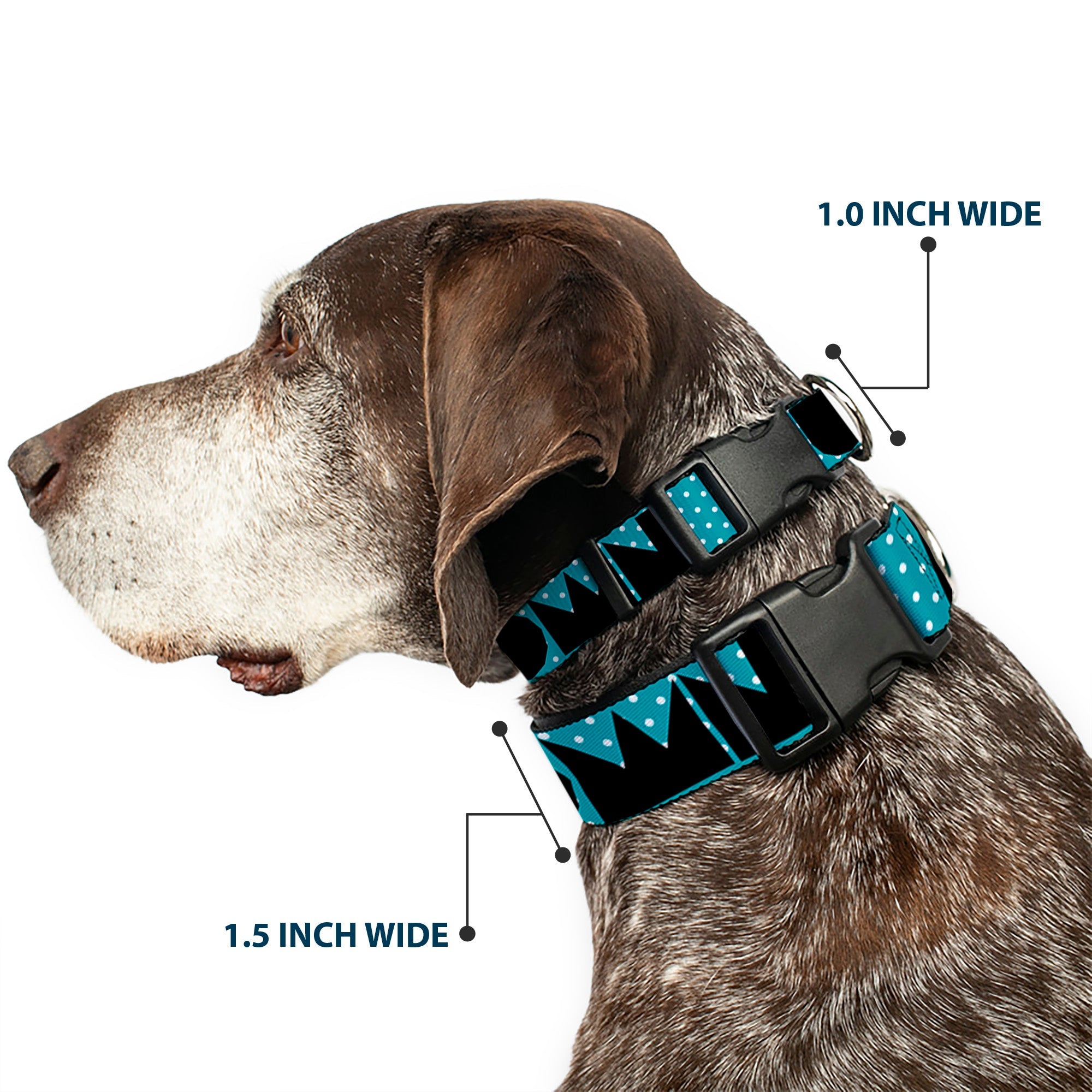 Plastic Clip Collar – Buckle-Down Shapes Dot Turquoise White and Black