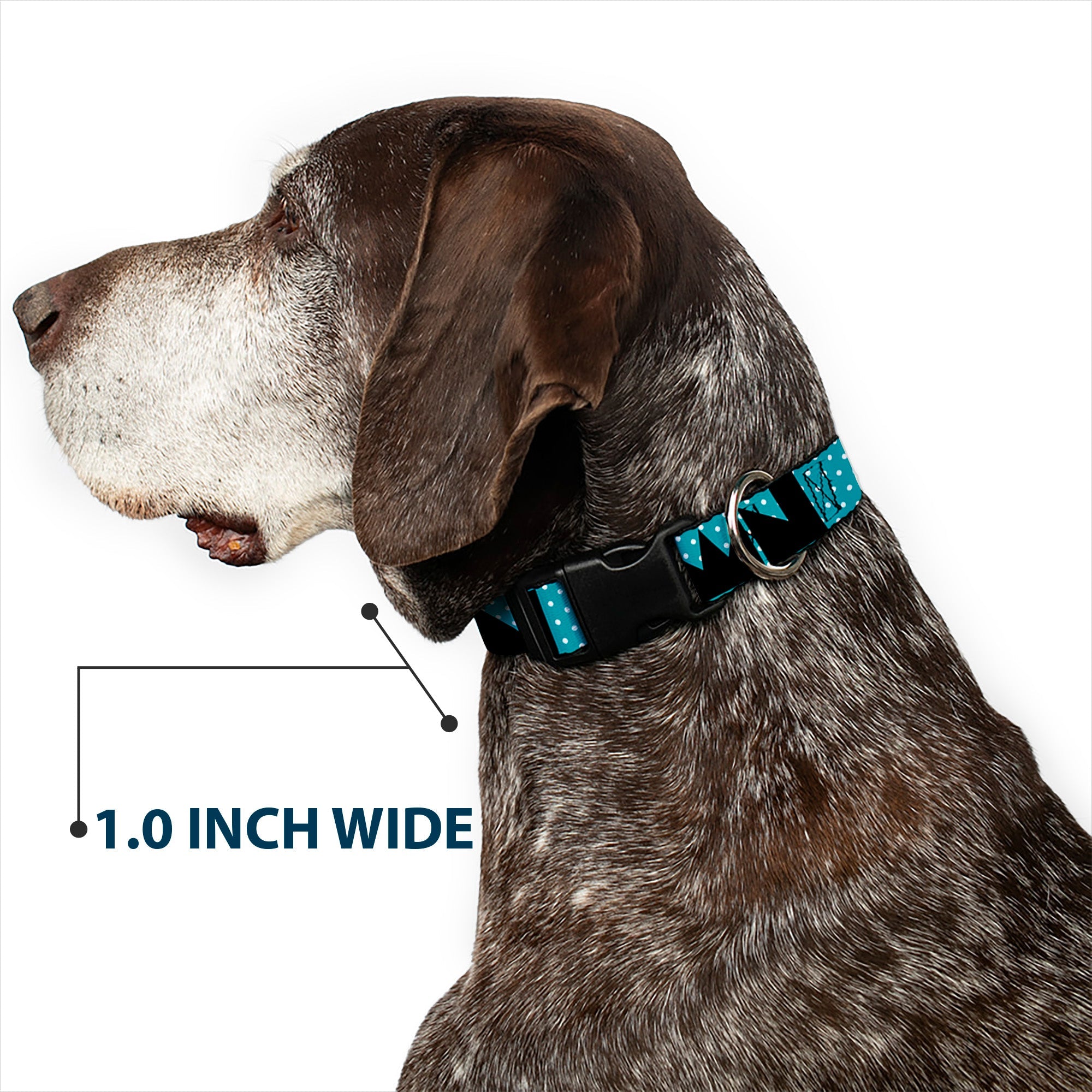 Plastic Clip Collar – Buckle-Down Shapes Dot Turquoise White and Black