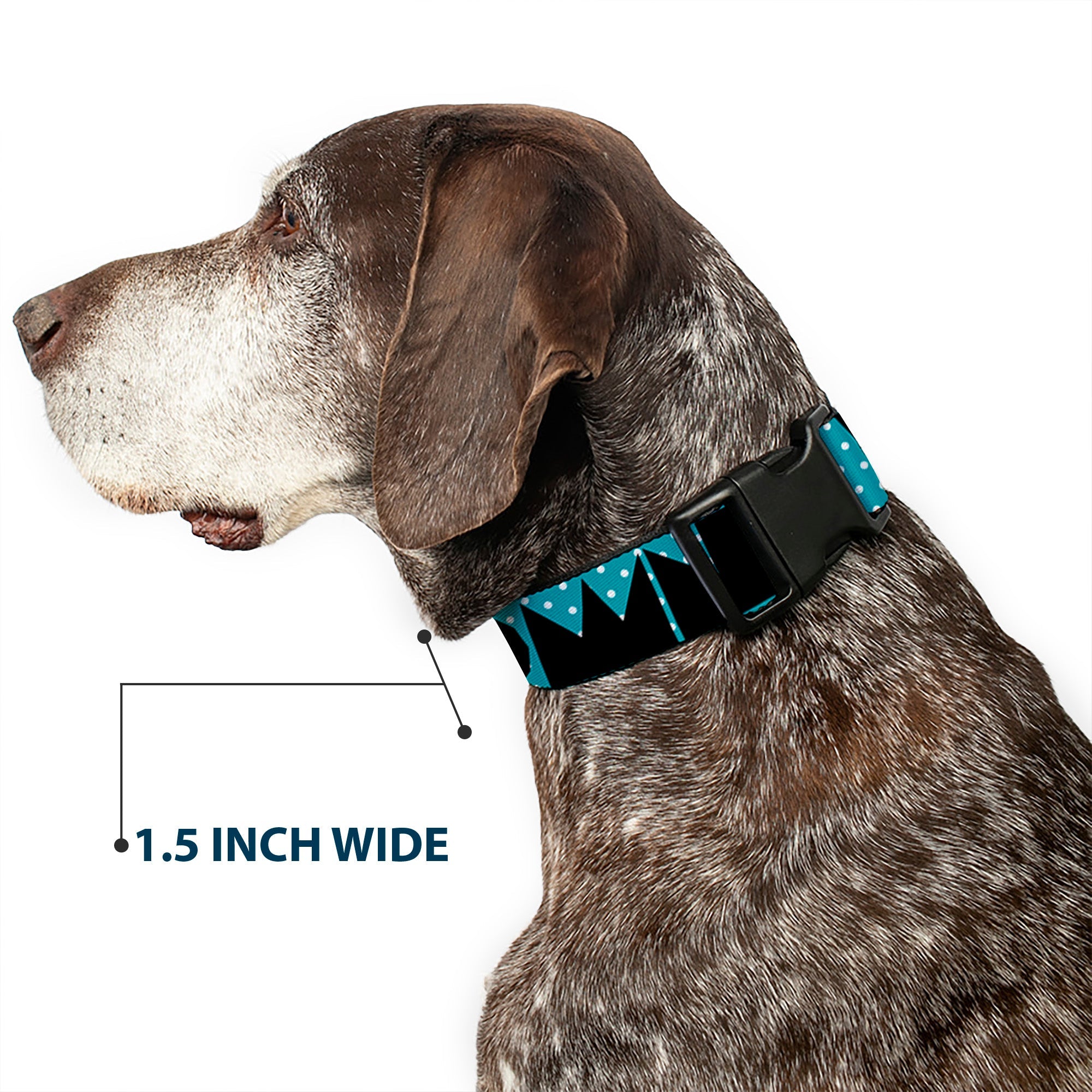 Plastic Clip Collar – Buckle-Down Shapes Dot Turquoise White and Black