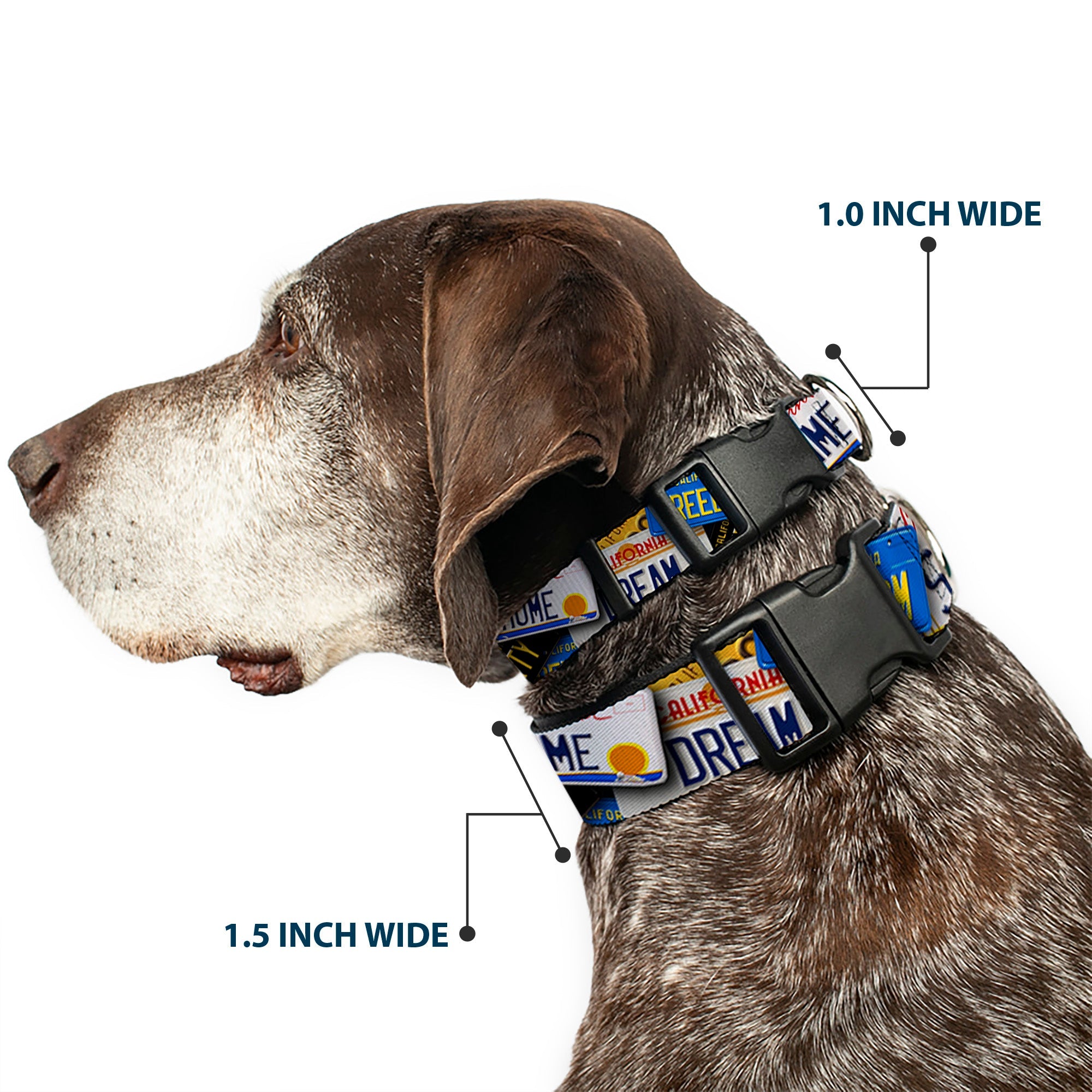 Plastic Clip Collar – Cali License Plates Stacked