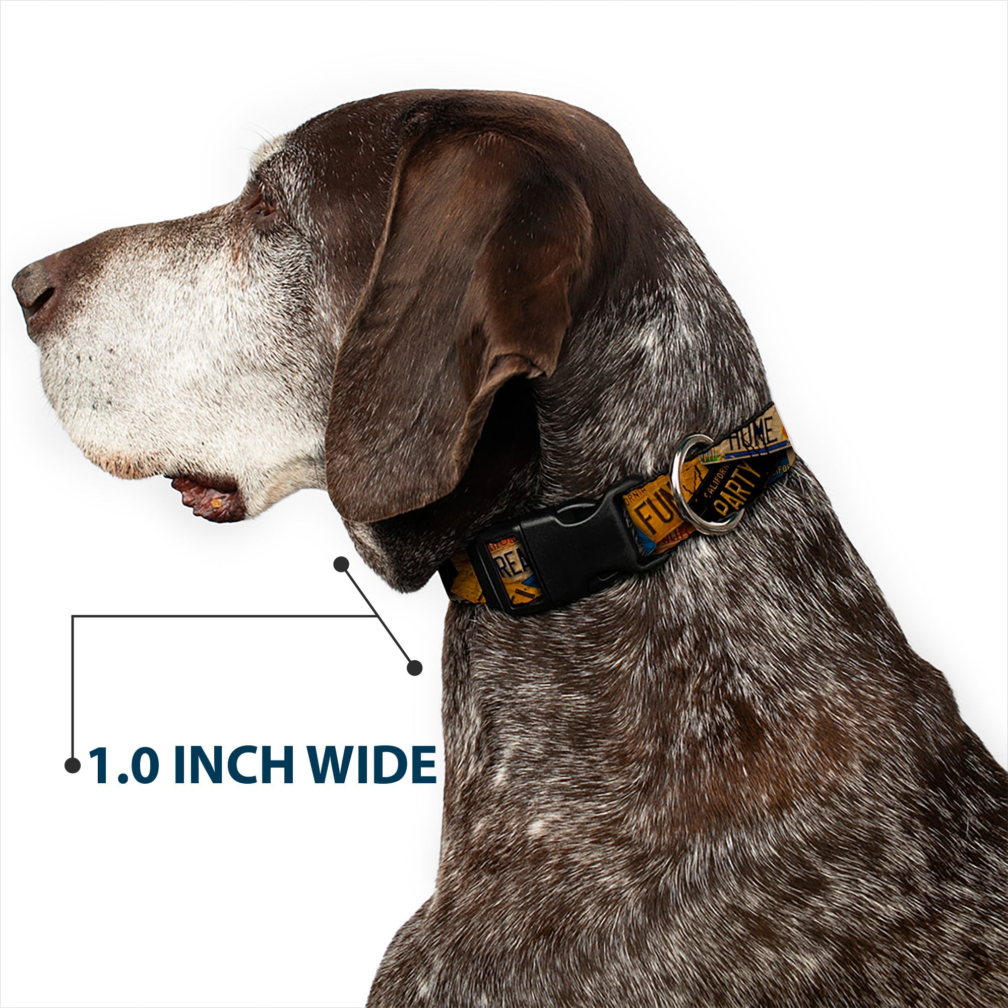Plastic Clip Collar – Cali License Plates Stacked Vintage