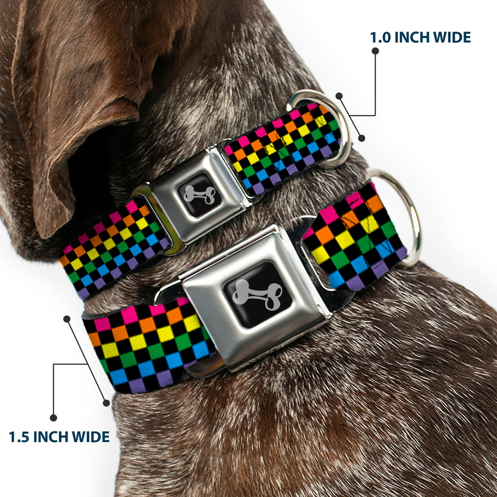 Seatbelt Dog Collar – Checker Black and Neon Rainbow