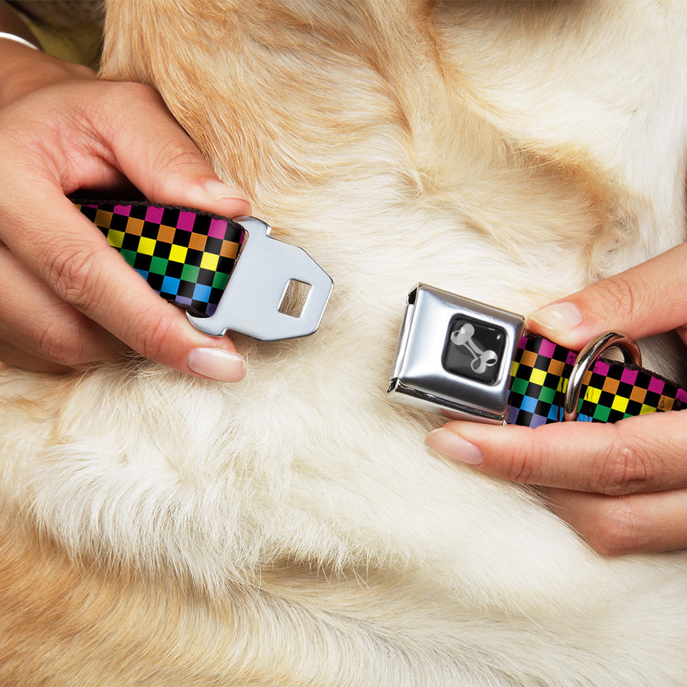 Seatbelt Dog Collar – Checker Black and Neon Rainbow