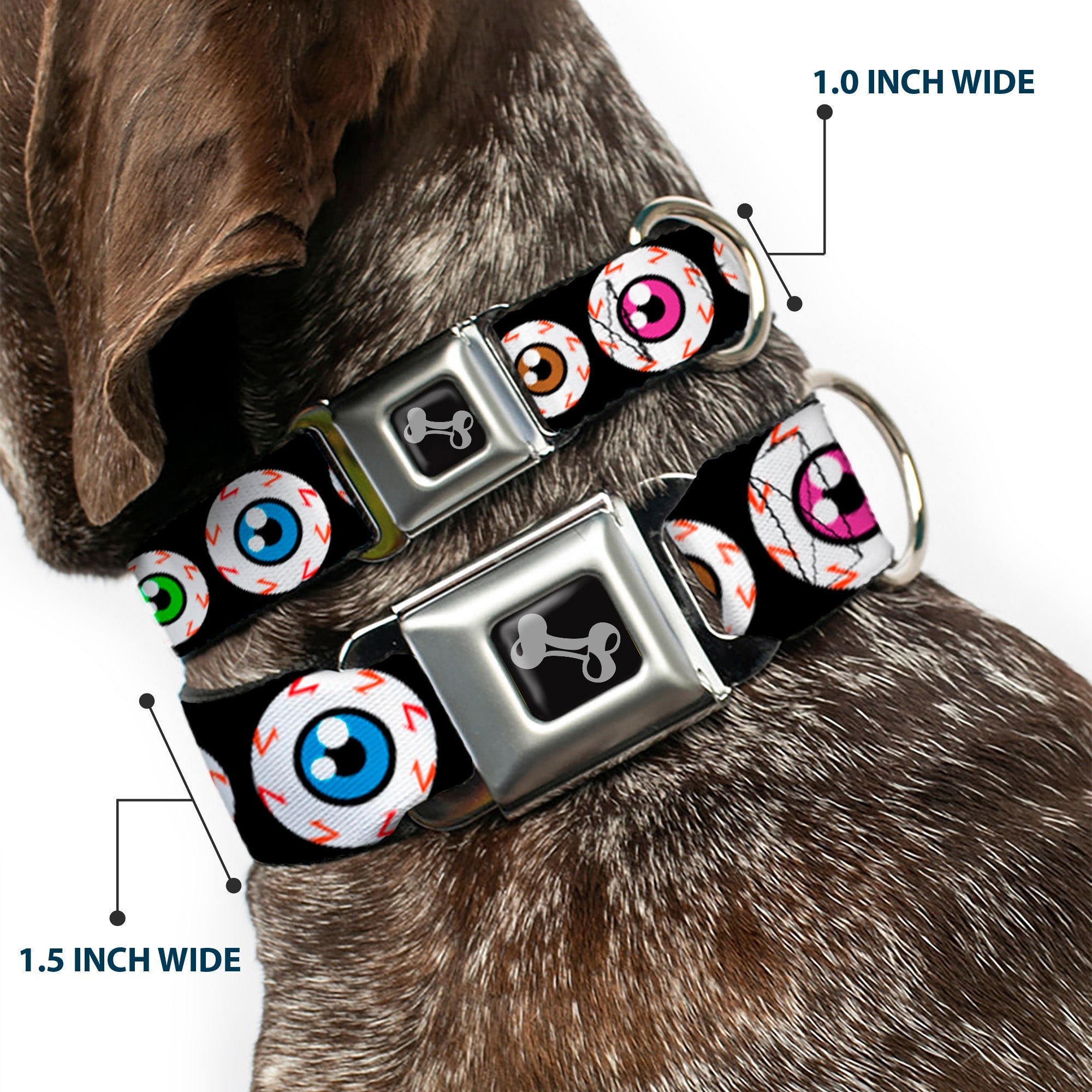 Seatbelt Dog Collar – Eyeballs Multi Color