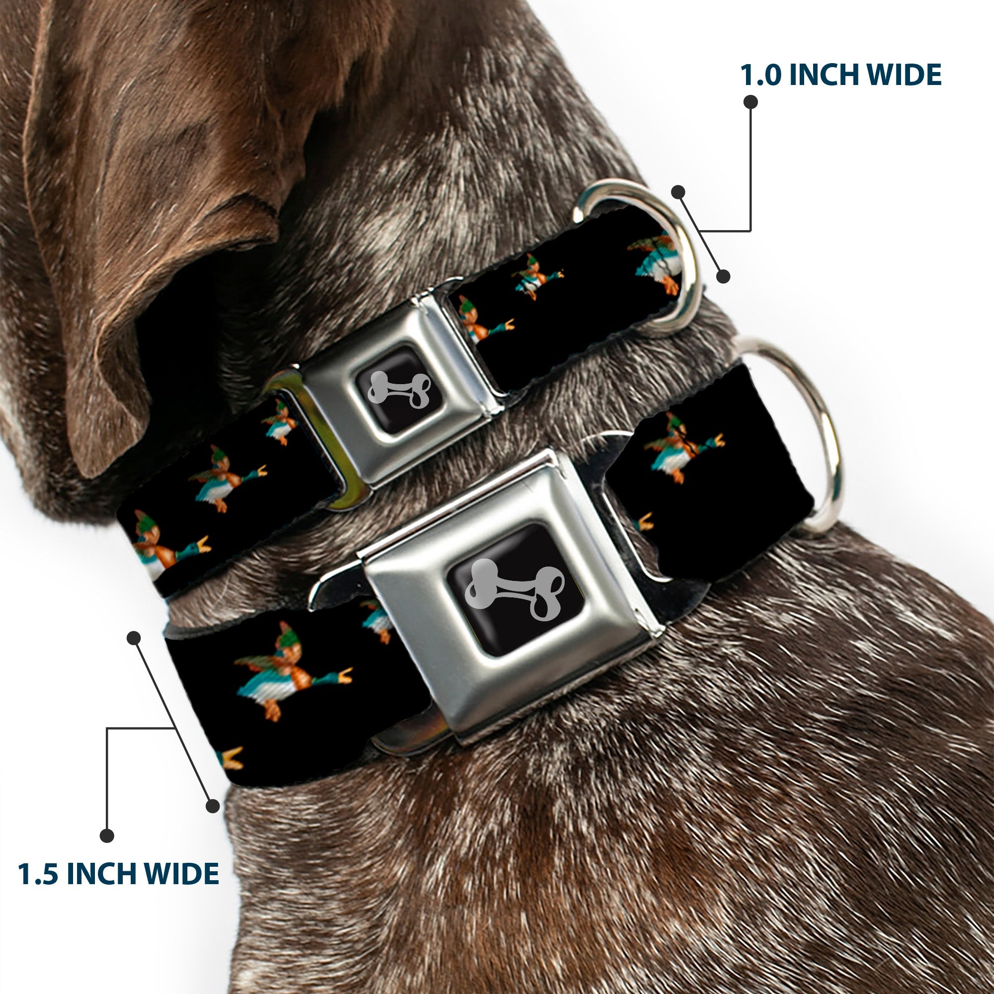 Seatbelt Dog Collar – Flying Mallards