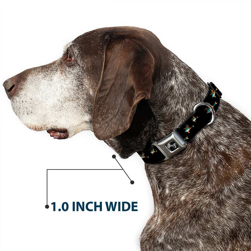 Seatbelt Dog Collar – Flying Mallards
