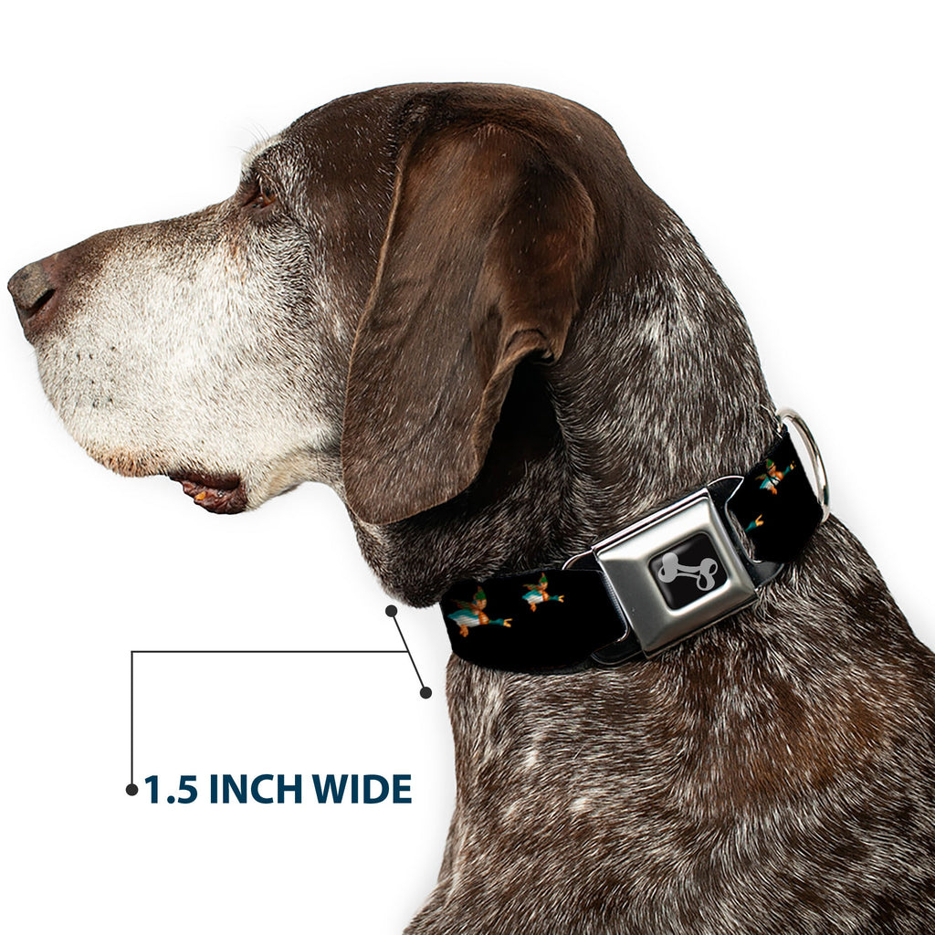 Seatbelt Dog Collar – Flying Mallards