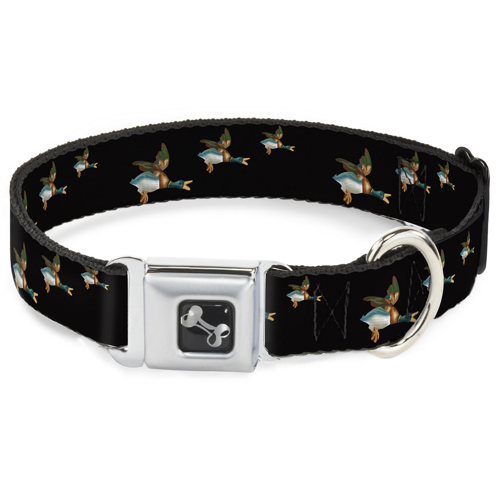 Seatbelt Dog Collar – Flying Mallards