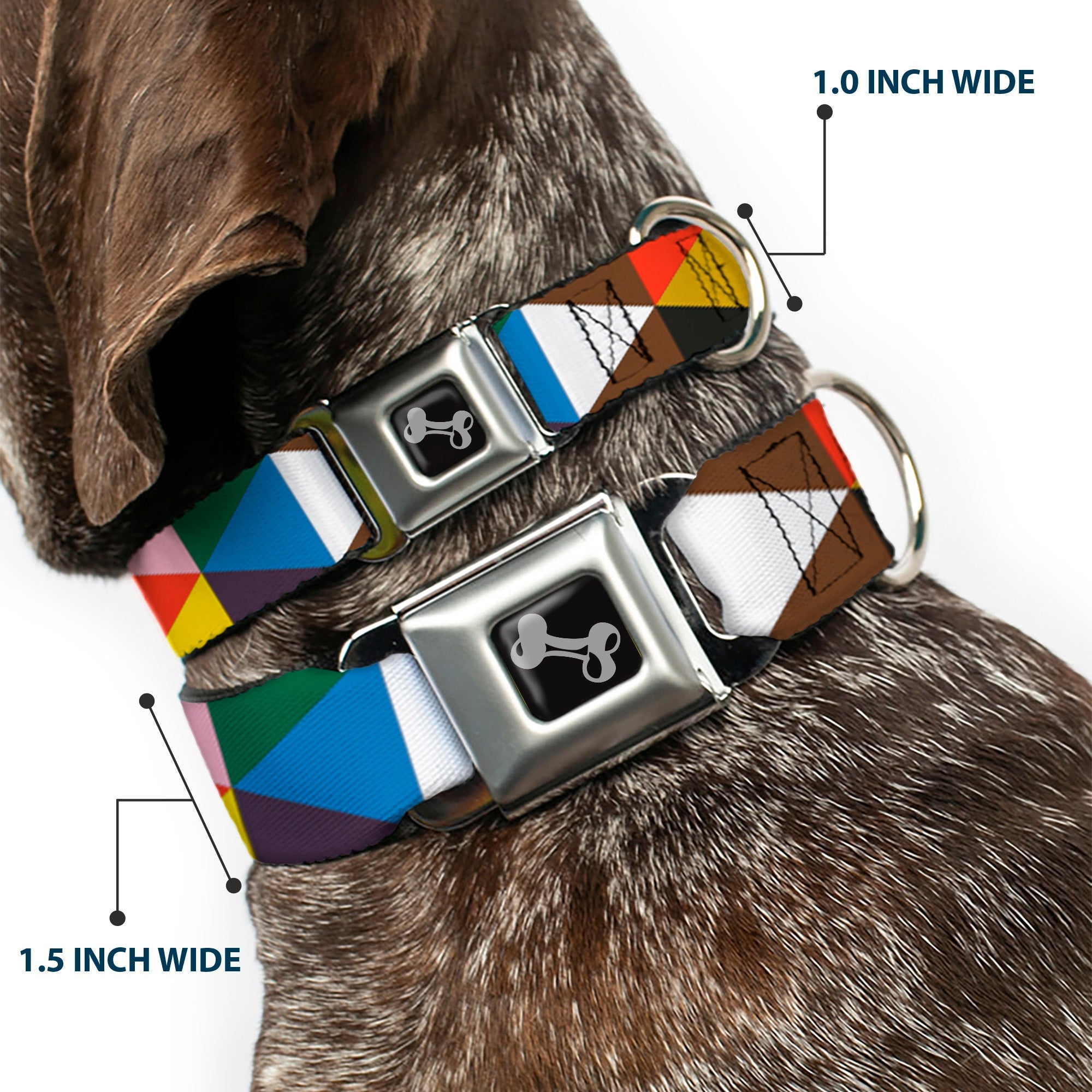 Seatbelt Dog Collar – Geometric Triangle Blocks