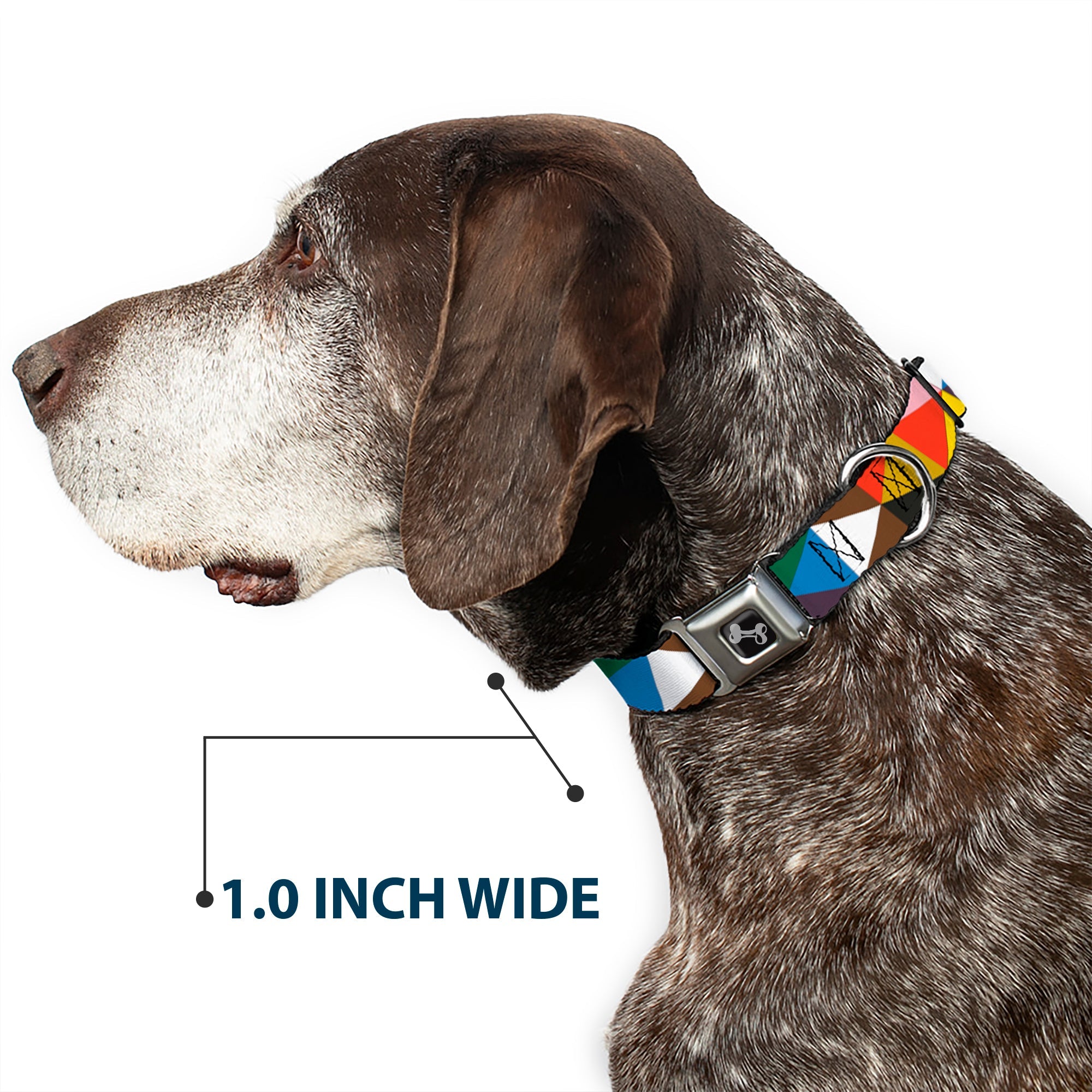 Seatbelt Dog Collar – Geometric Triangle Blocks