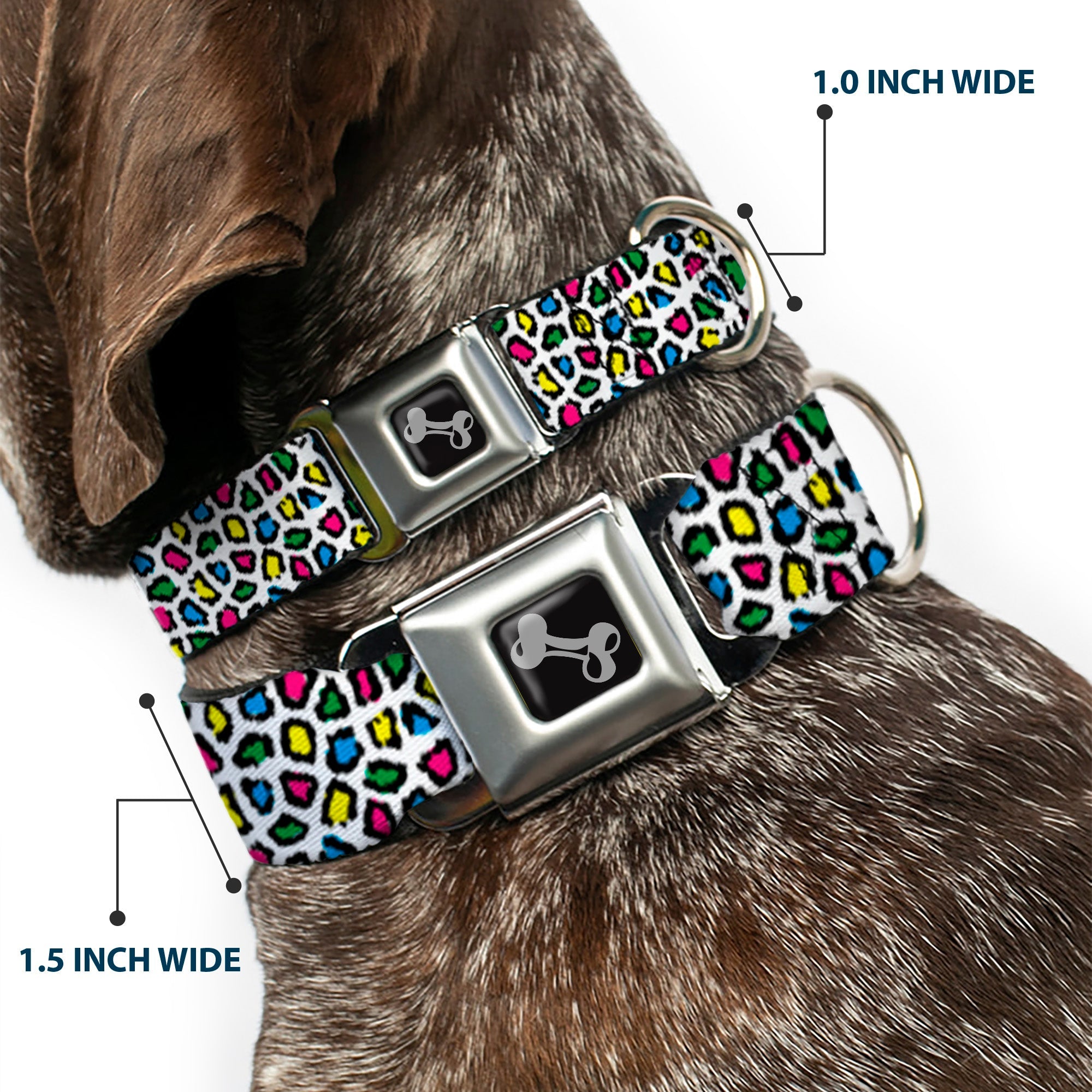 Seatbelt Dog Collar – Leopard Multi Color