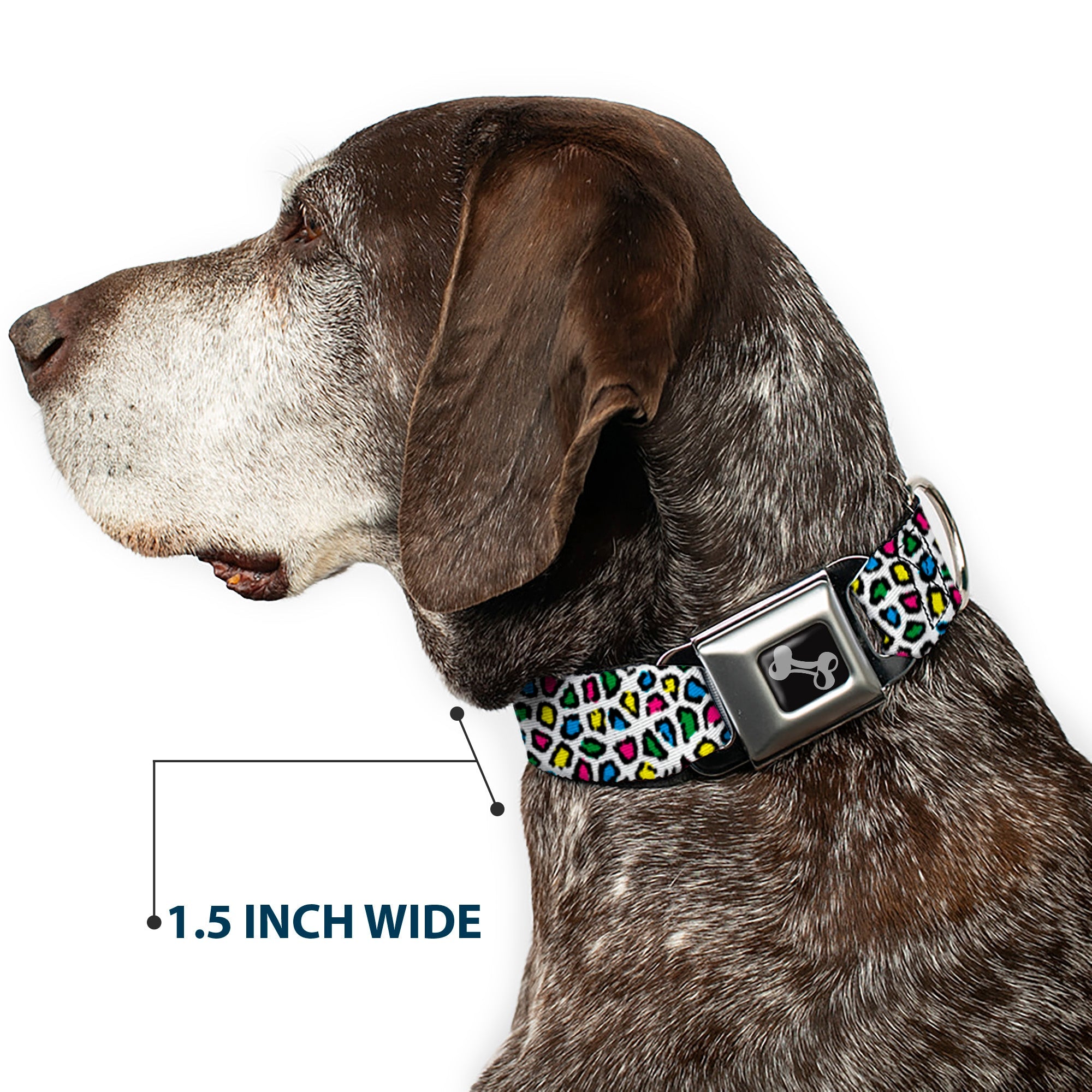 Seatbelt Dog Collar – Leopard Multi Color