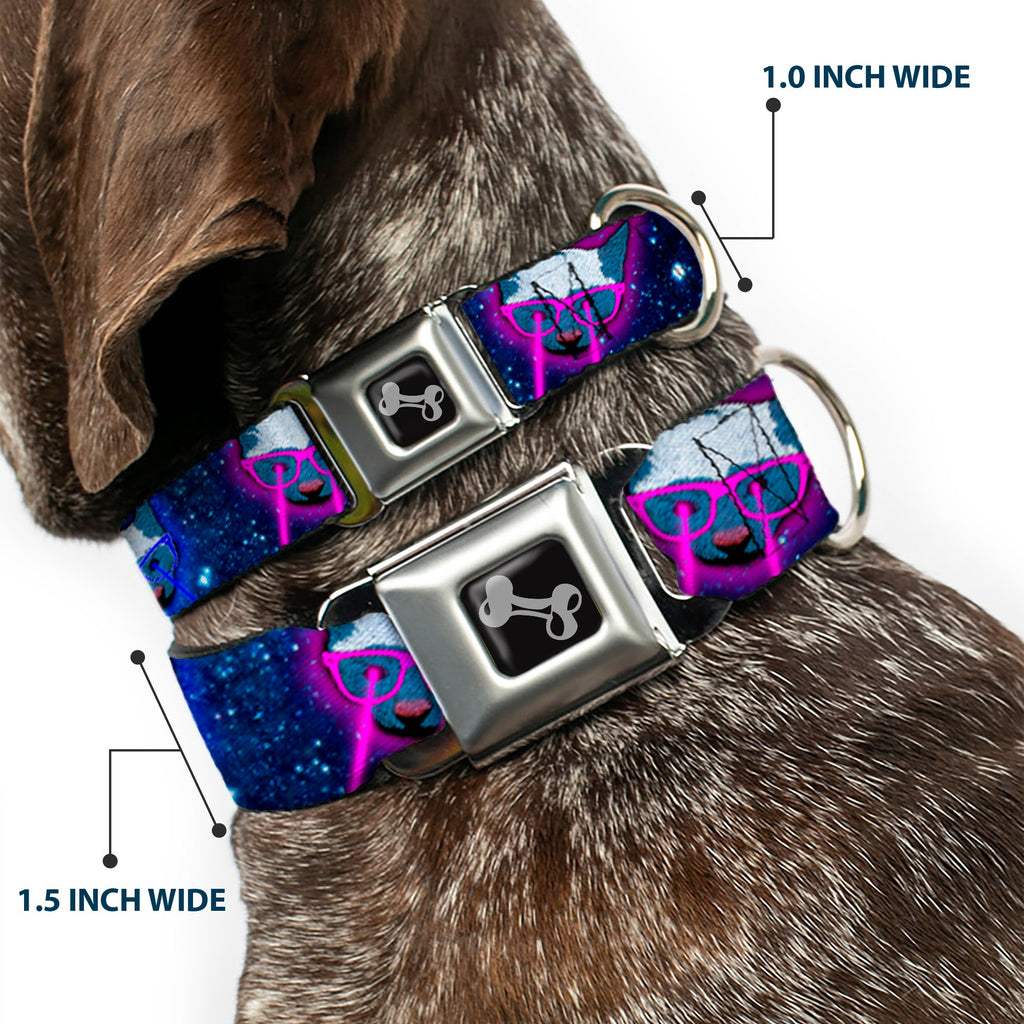 Seatbelt Dog Collar – Laser Eye Cats in Space