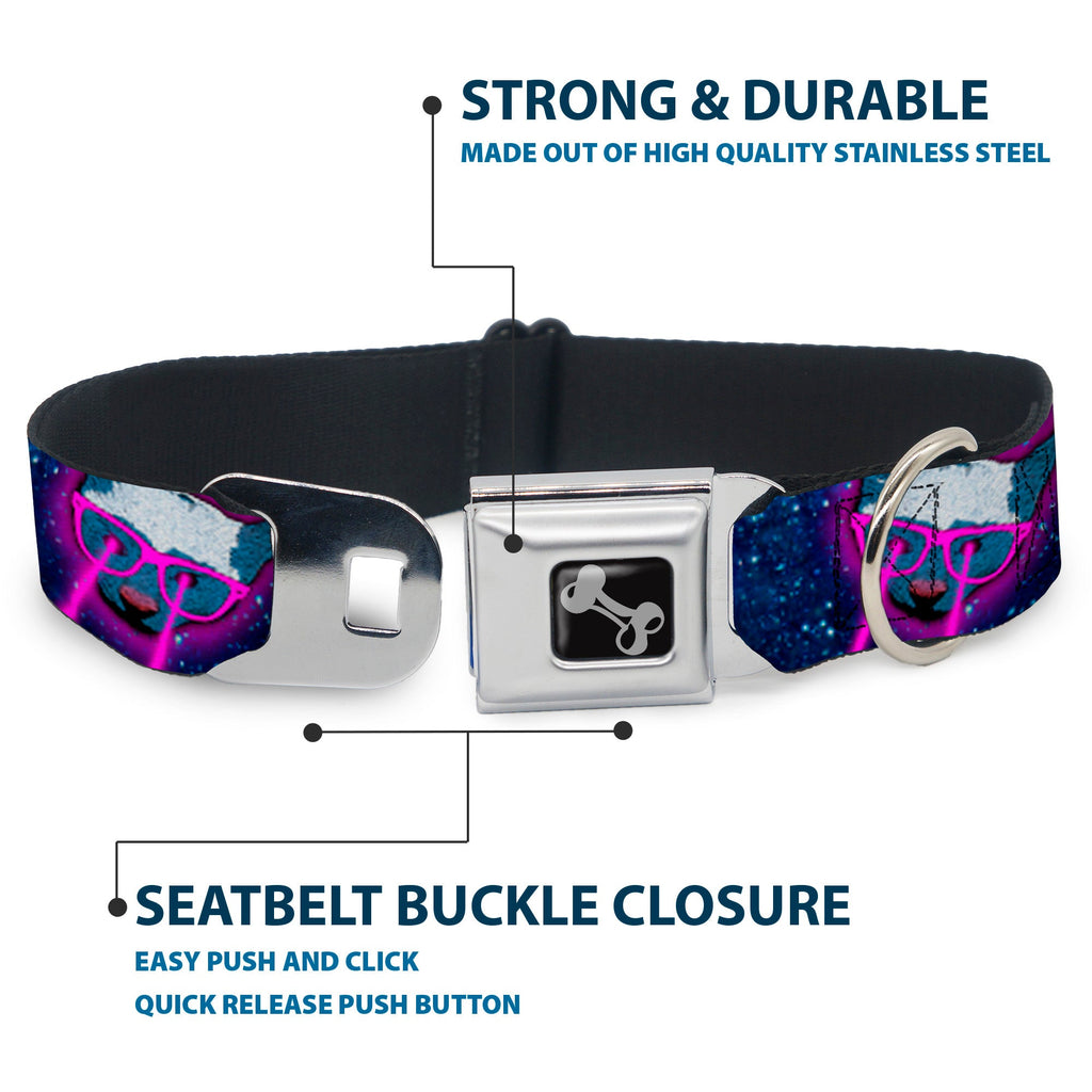 Seatbelt Dog Collar – Laser Eye Cats in Space