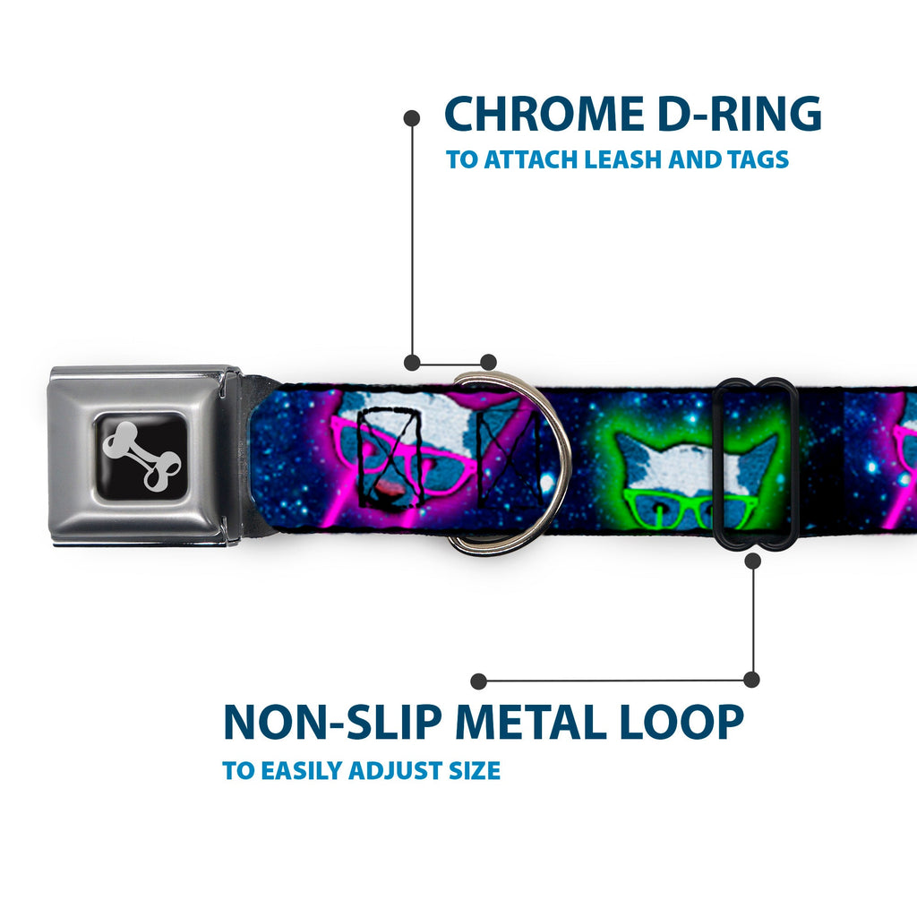 Seatbelt Dog Collar – Laser Eye Cats in Space