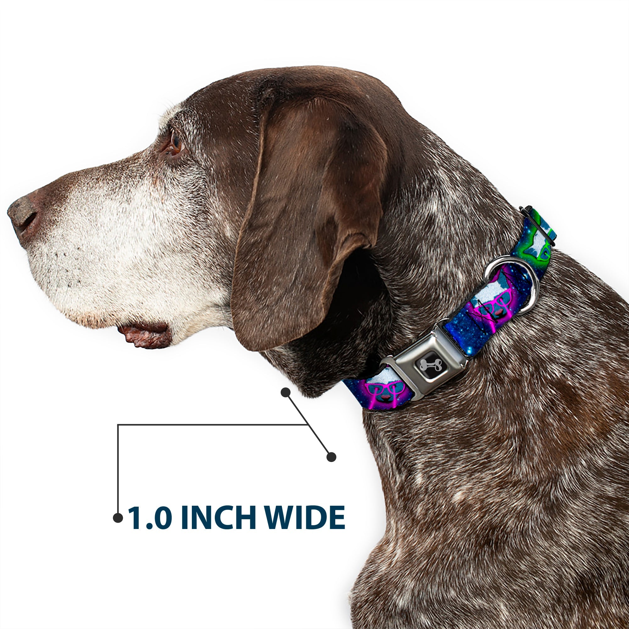 Seatbelt Dog Collar – Laser Eye Cats in Space