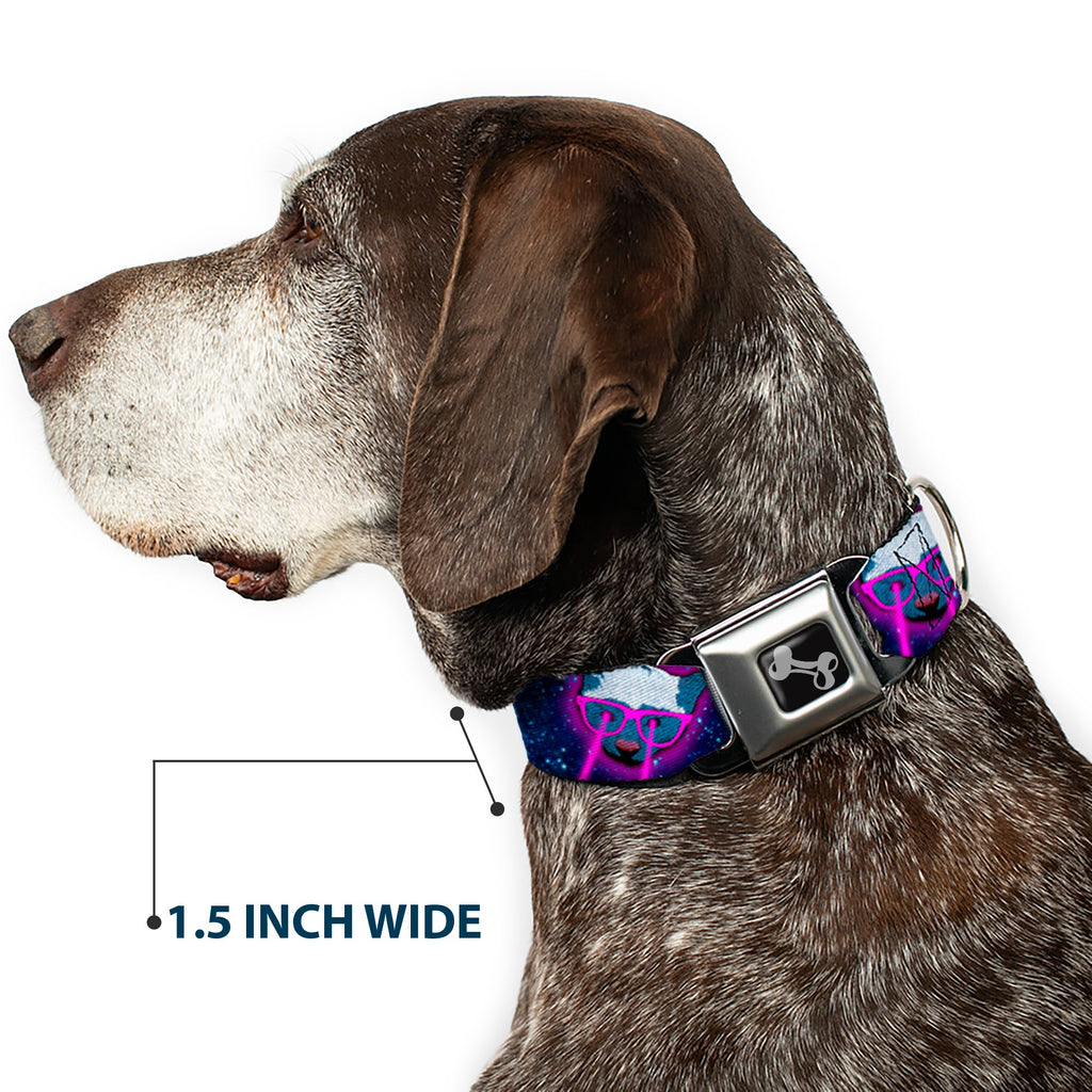 Seatbelt Dog Collar – Laser Eye Cats in Space