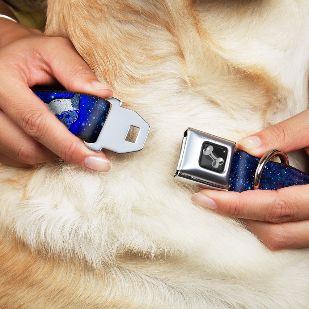 Seatbelt Dog Collar – Laser Eye Cats in Space