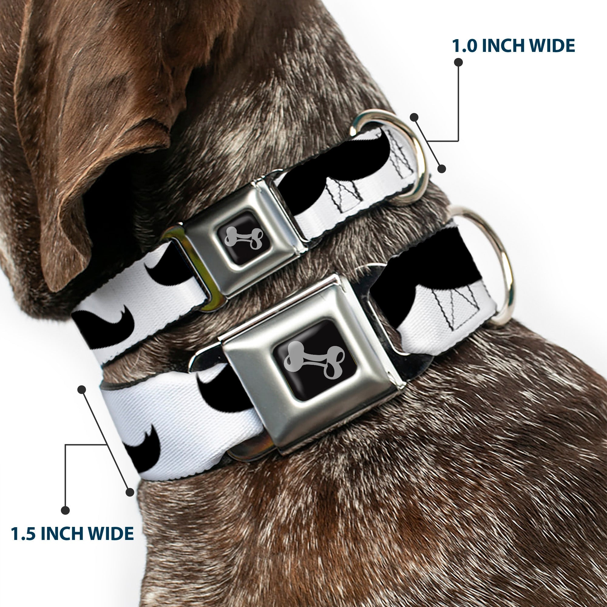 Seatbelt Dog Collar – Mustaches White and Black