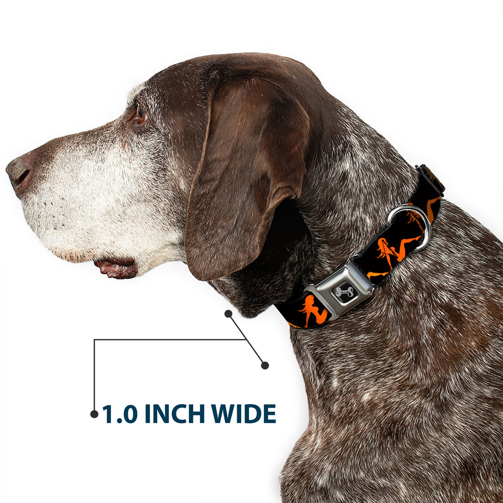 Seatbelt Dog Collar – Mud Flap Girl Black and Orange