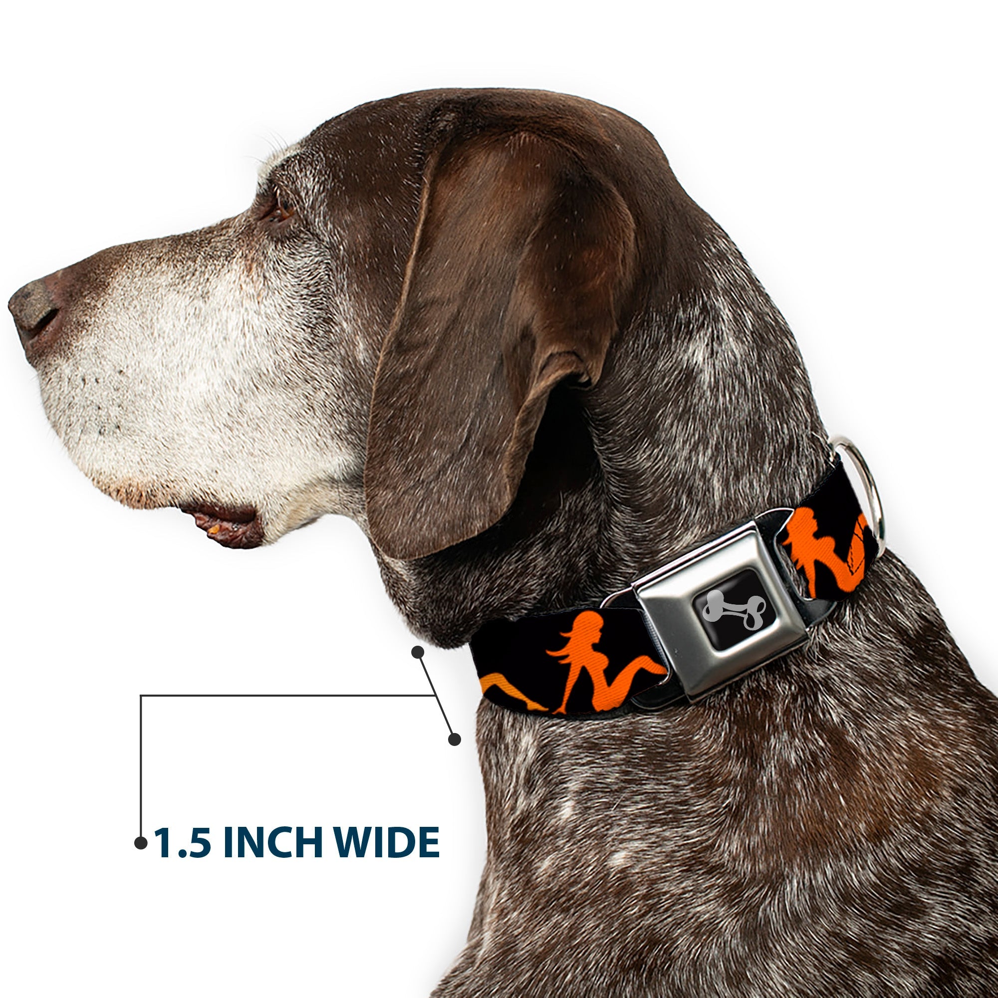 Seatbelt Dog Collar – Mud Flap Girl Black and Orange