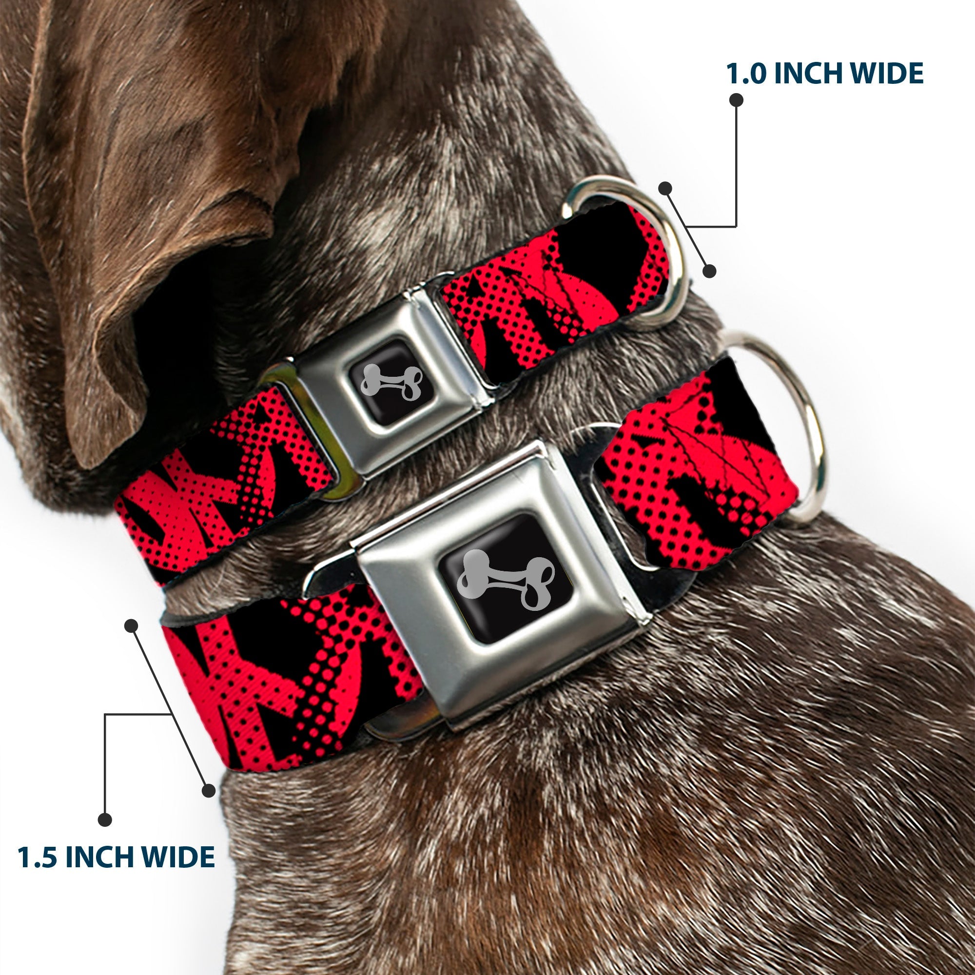Seatbelt Dog Collar – Peace Dots Black and Fuchsia