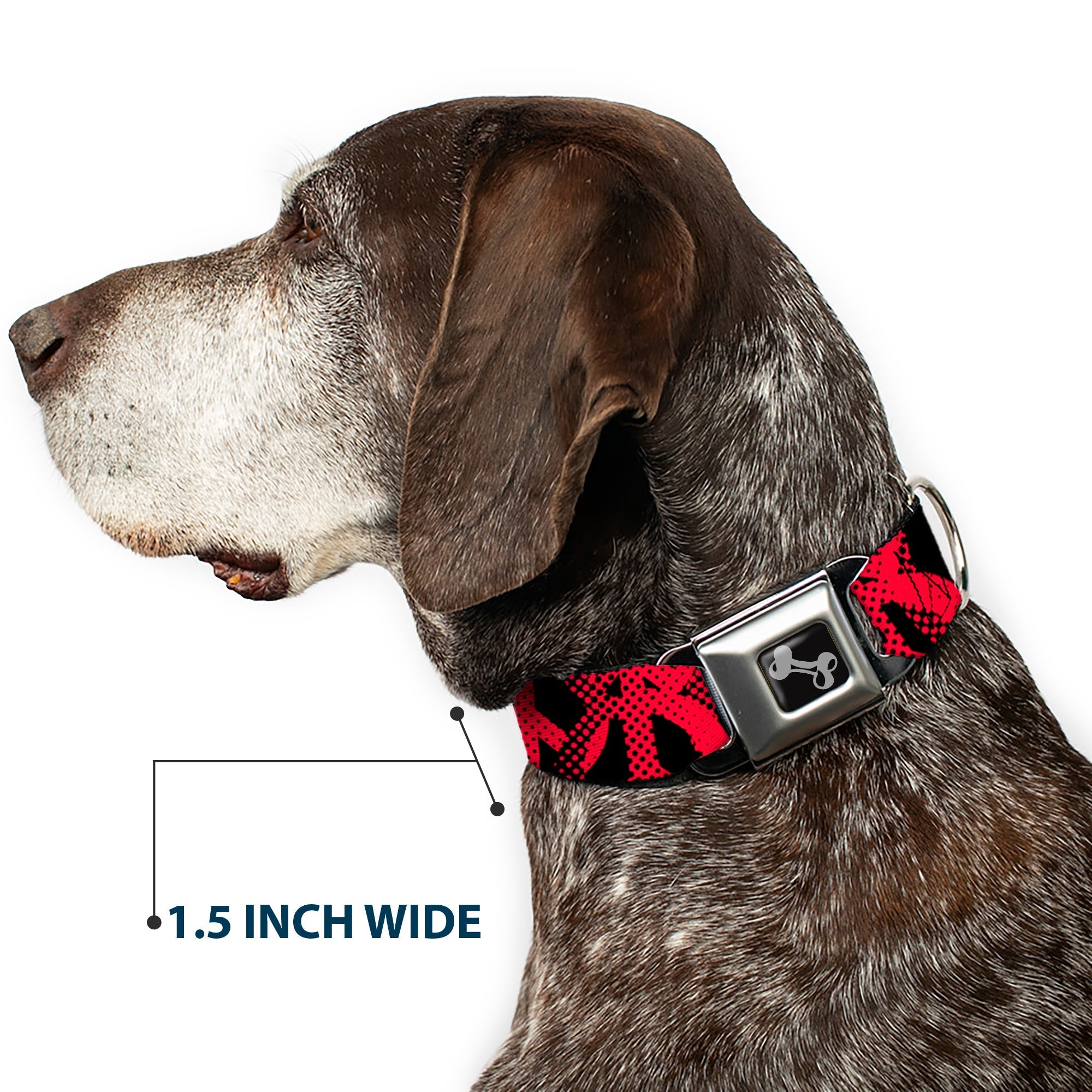 Seatbelt Dog Collar – Peace Dots Black and Fuchsia