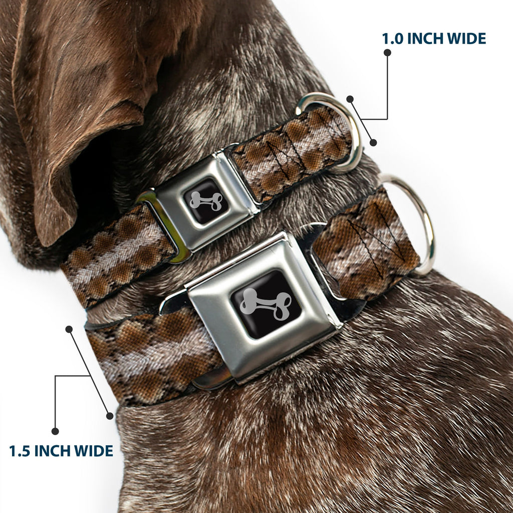 Seatbelt Dog Collar – Snake Skin