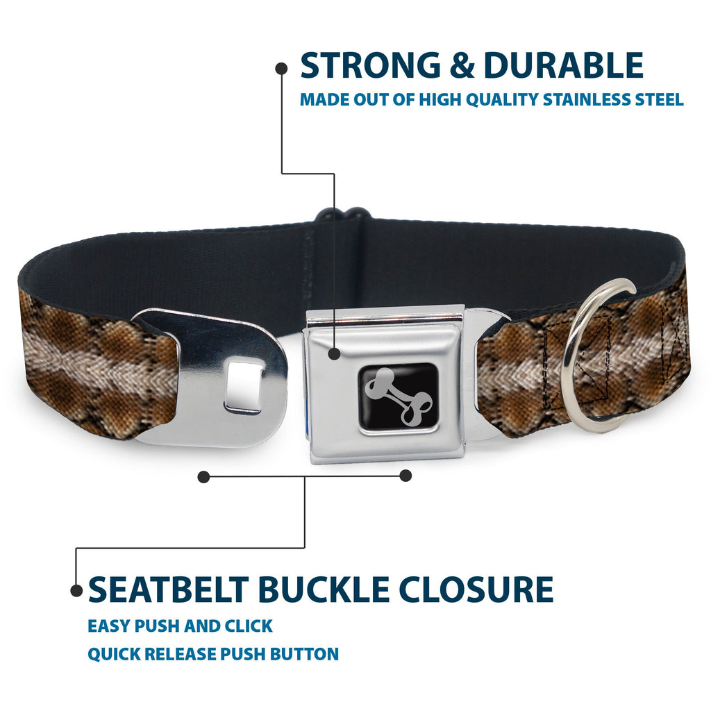 Seatbelt Dog Collar – Snake Skin