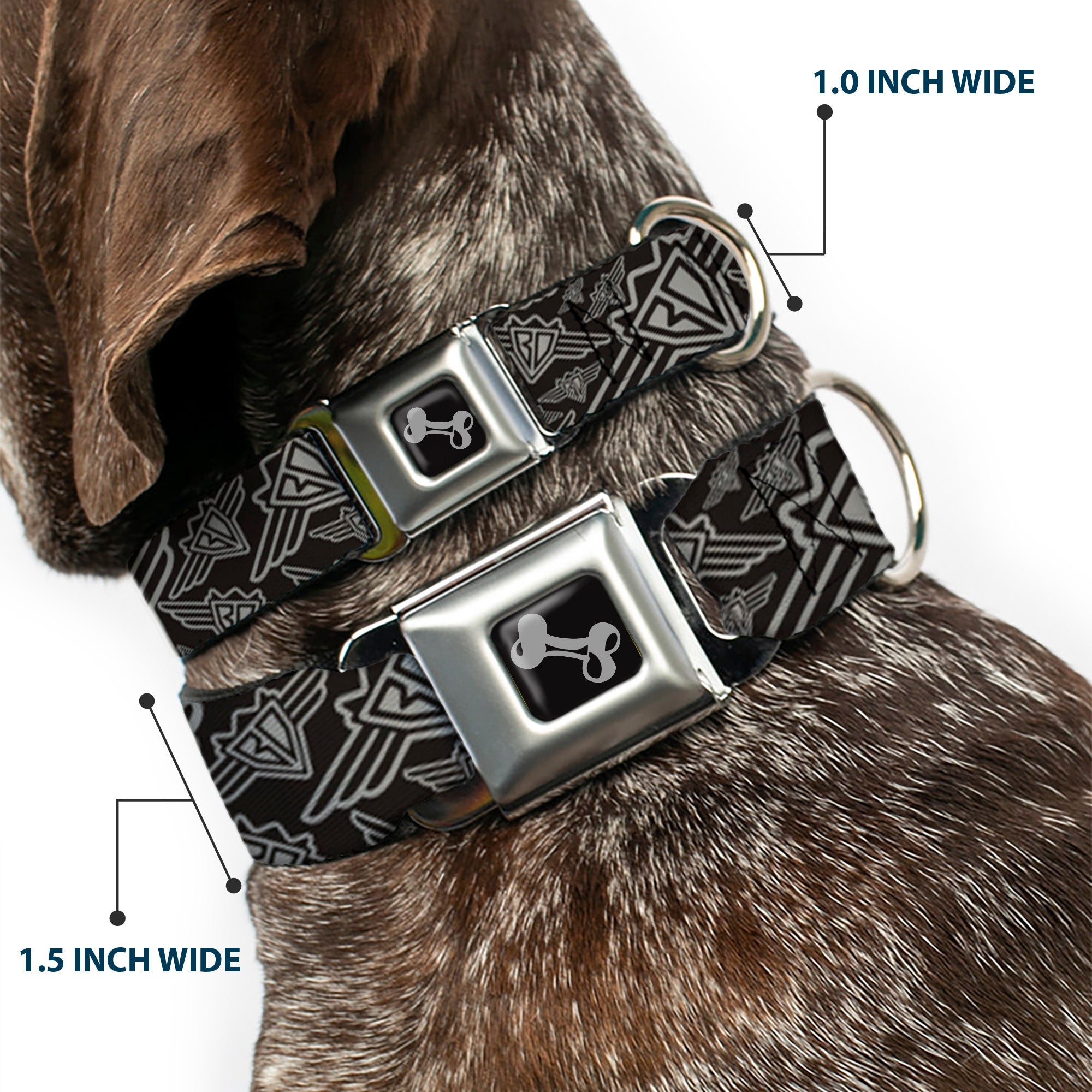 Seatbelt Dog Collar – BD Logo Black and Gray