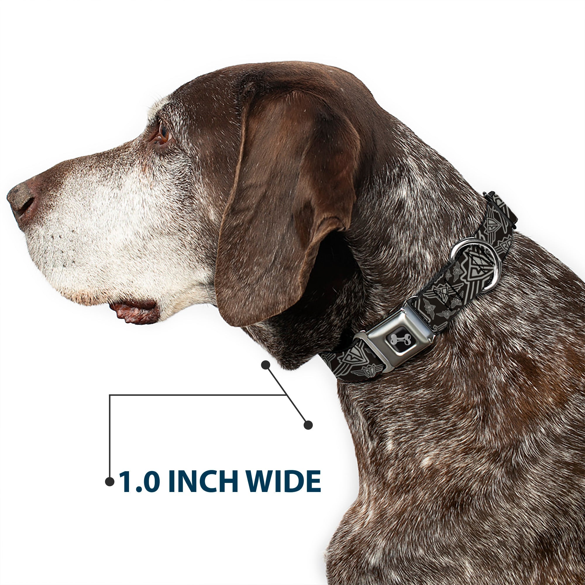 Seatbelt Dog Collar – BD Logo Black and Gray
