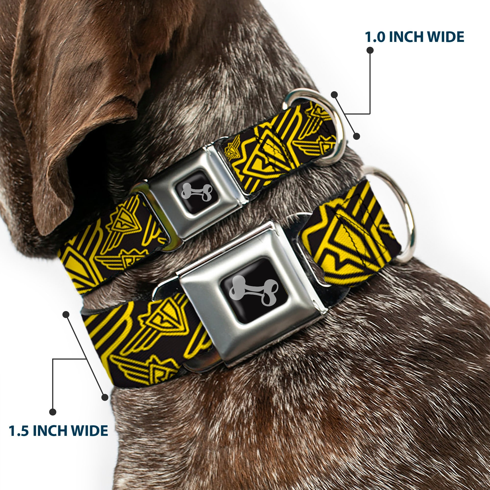 Seatbelt Dog Collar – BD Logo Black and Yellow