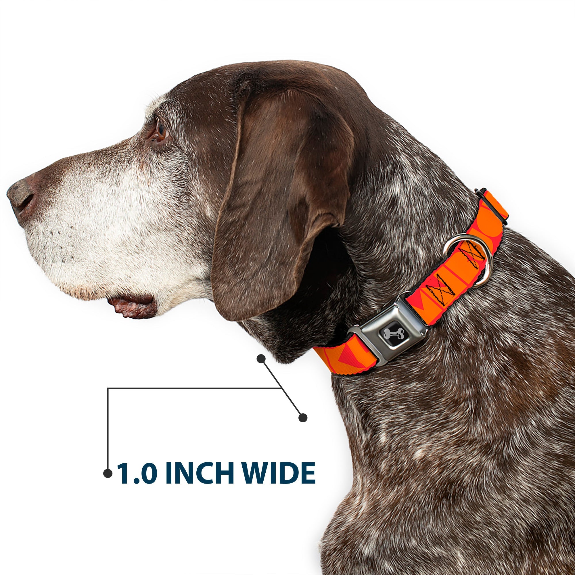 Seatbelt Dog Collar – Shapes Red and Orange