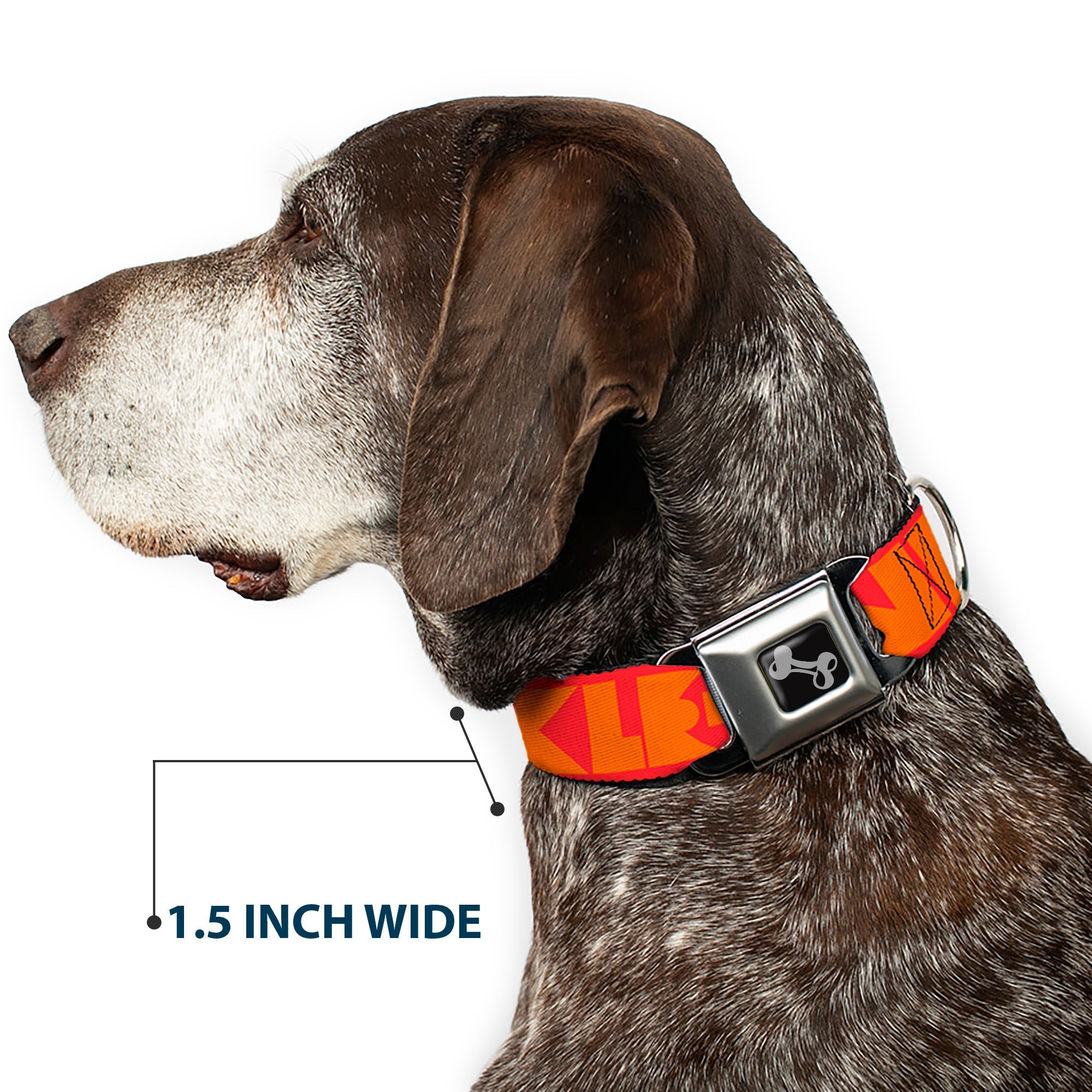 Seatbelt Dog Collar – Shapes Red and Orange
