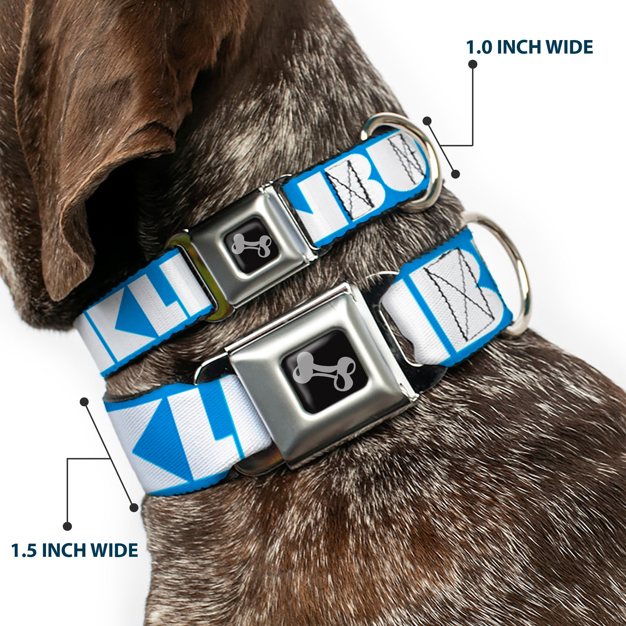Seatbelt Dog Collar – Shapes Turquoise and White