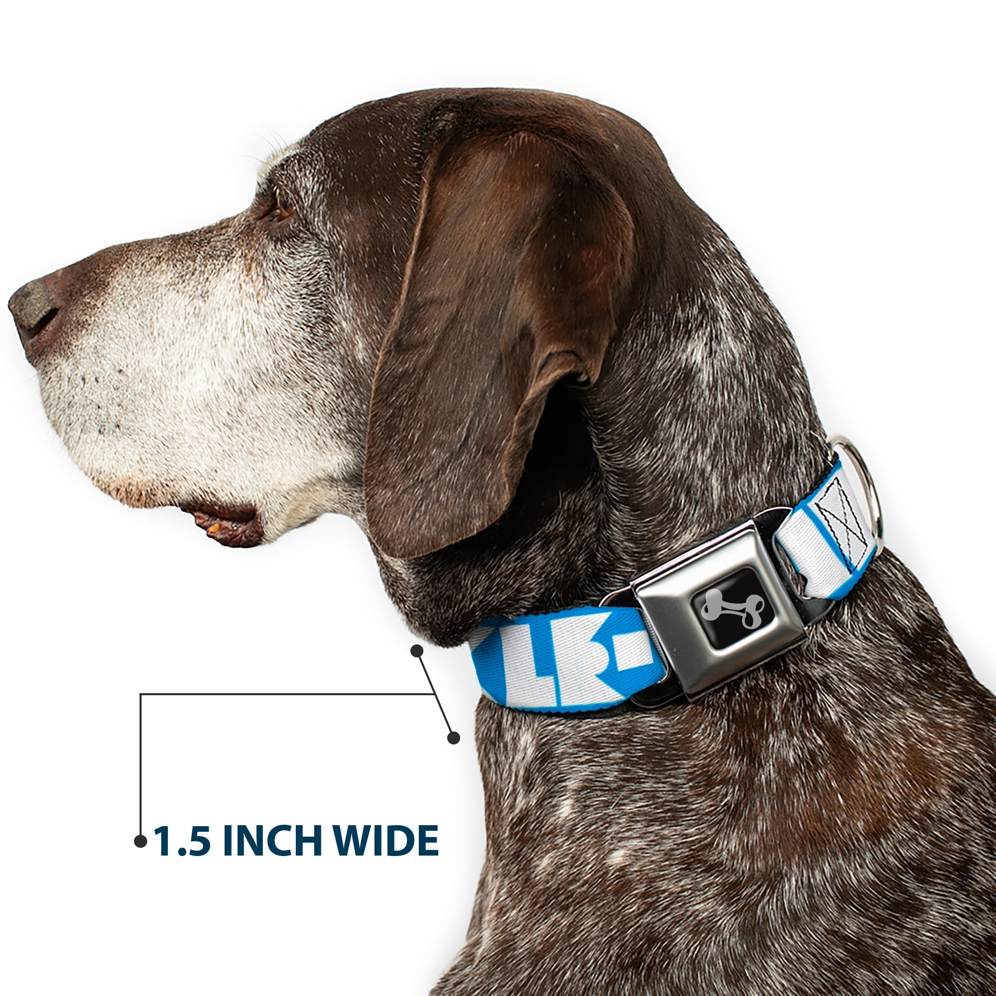 Seatbelt Dog Collar – Shapes Turquoise and White
