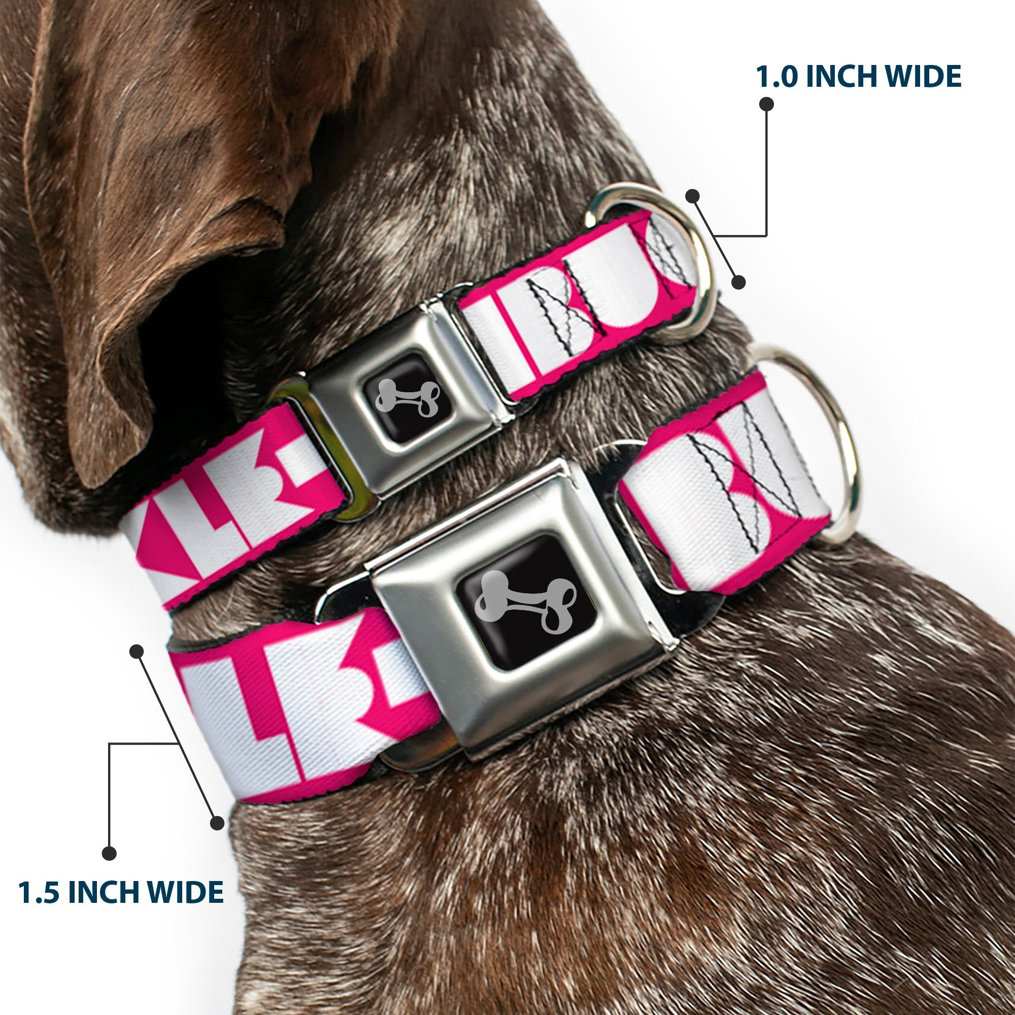 Seatbelt Dog Collar – Shapes Hot Pink and White