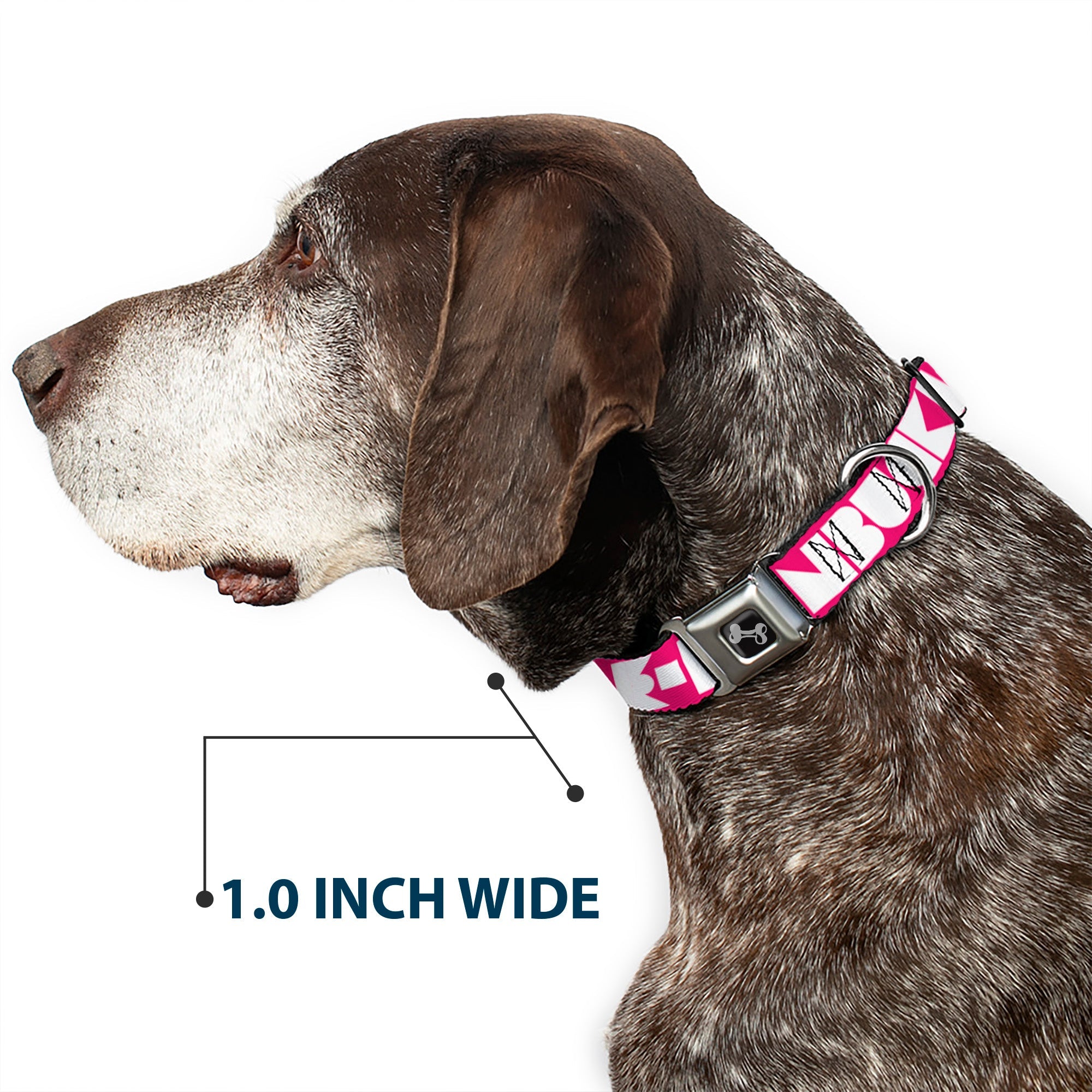 Seatbelt Dog Collar – Shapes Hot Pink and White