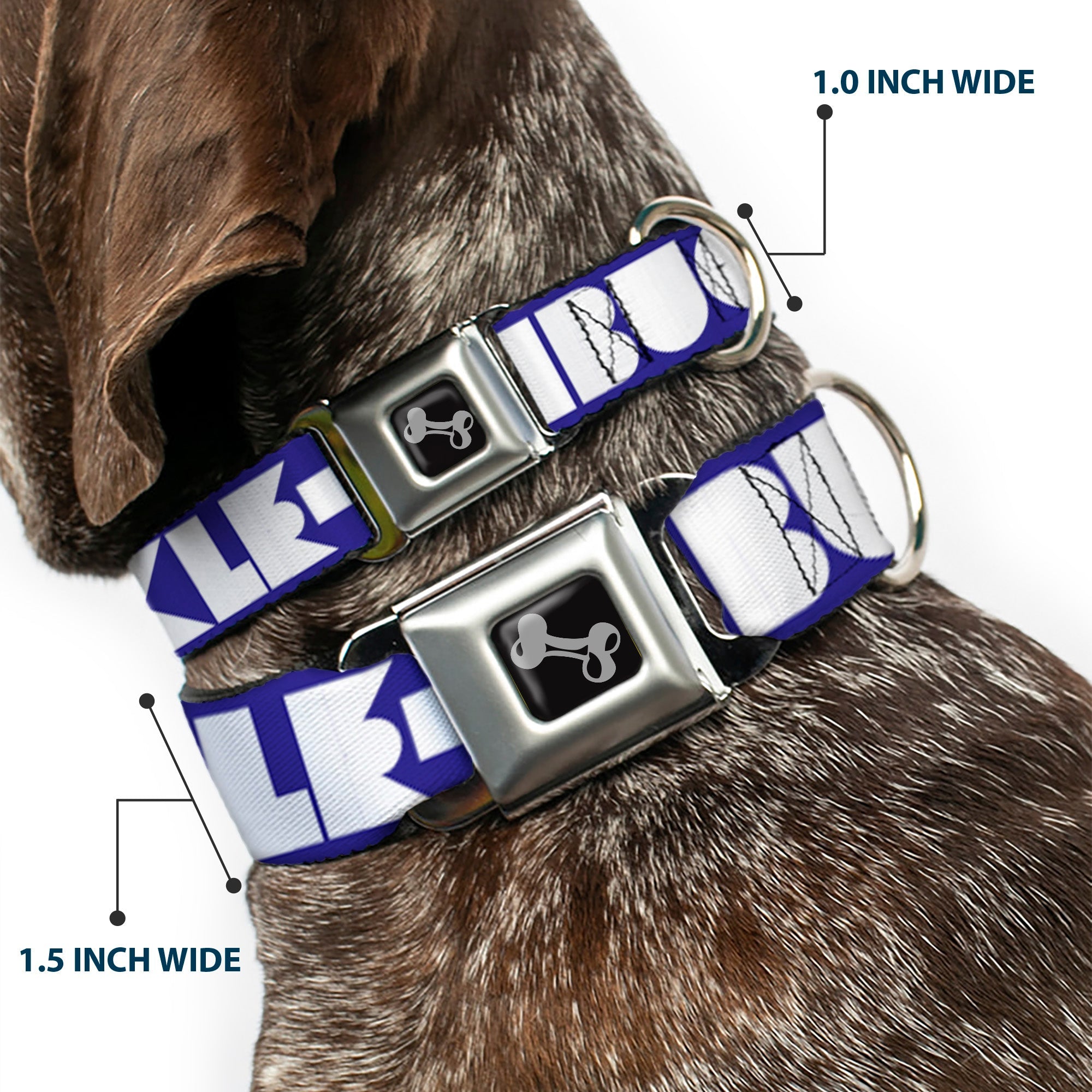 Seatbelt Dog Collar – Shapes Blue and White